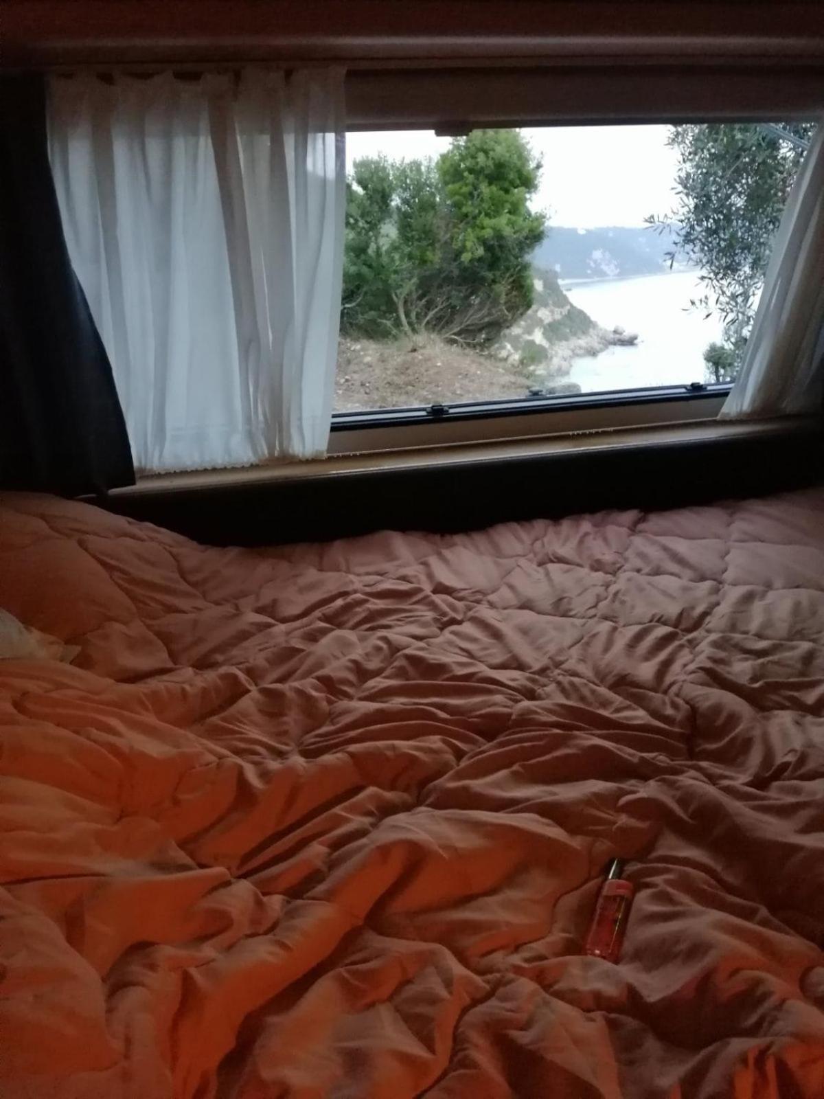 Terraoliva&herbs Campsite