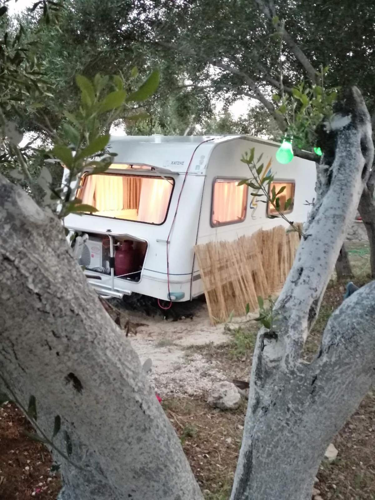Campsite Terraoliva&herbs