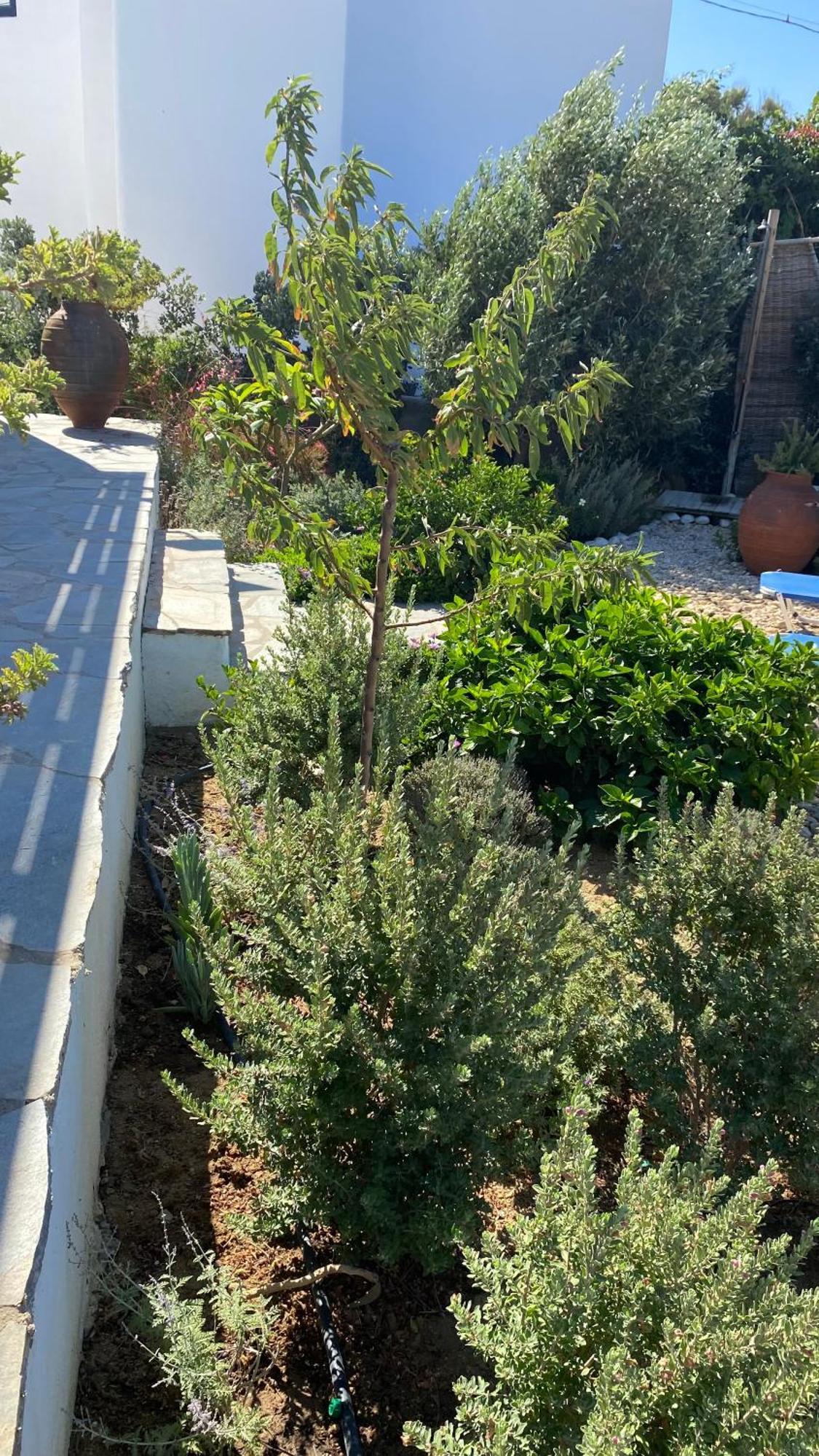 Plaka House Naxos *
