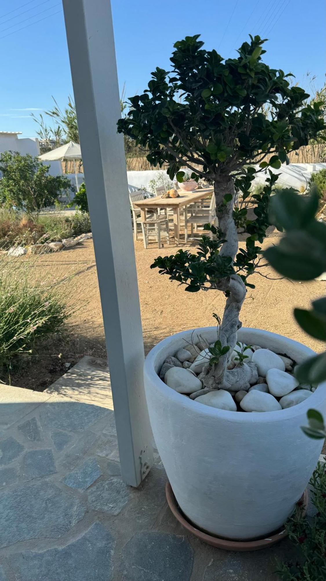 Holiday home Plaka House Naxos Naxos City