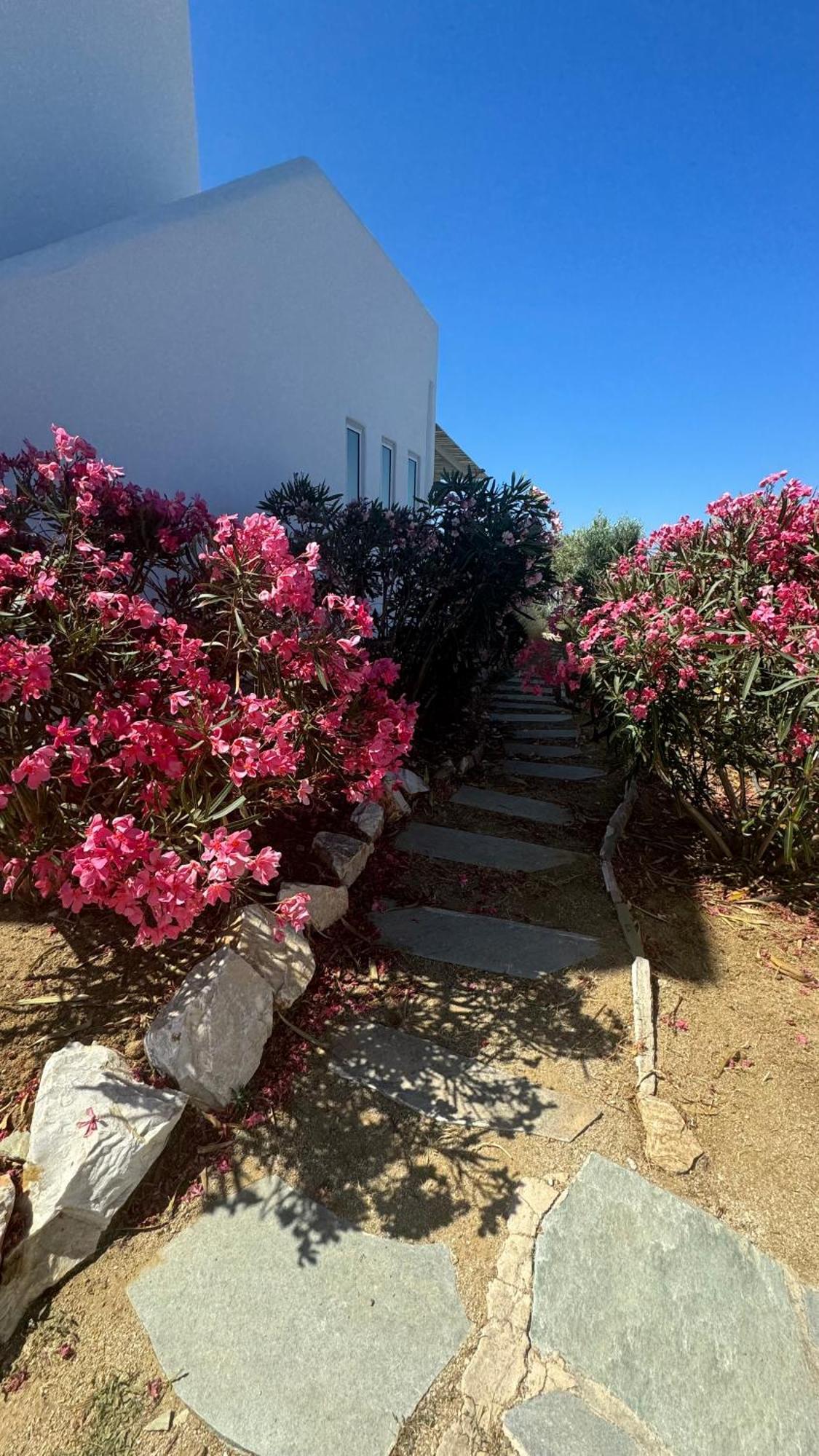 Plaka House Naxos