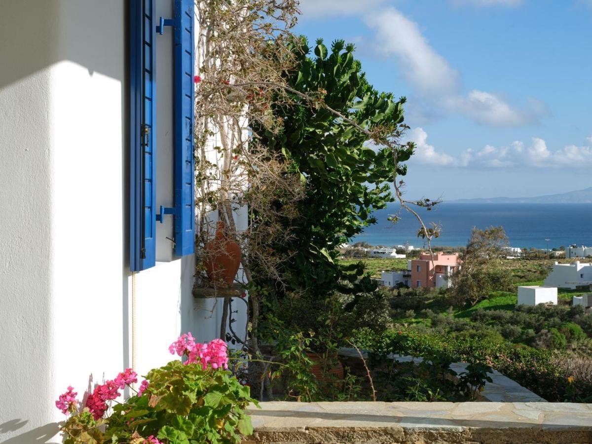 Casa Marvina