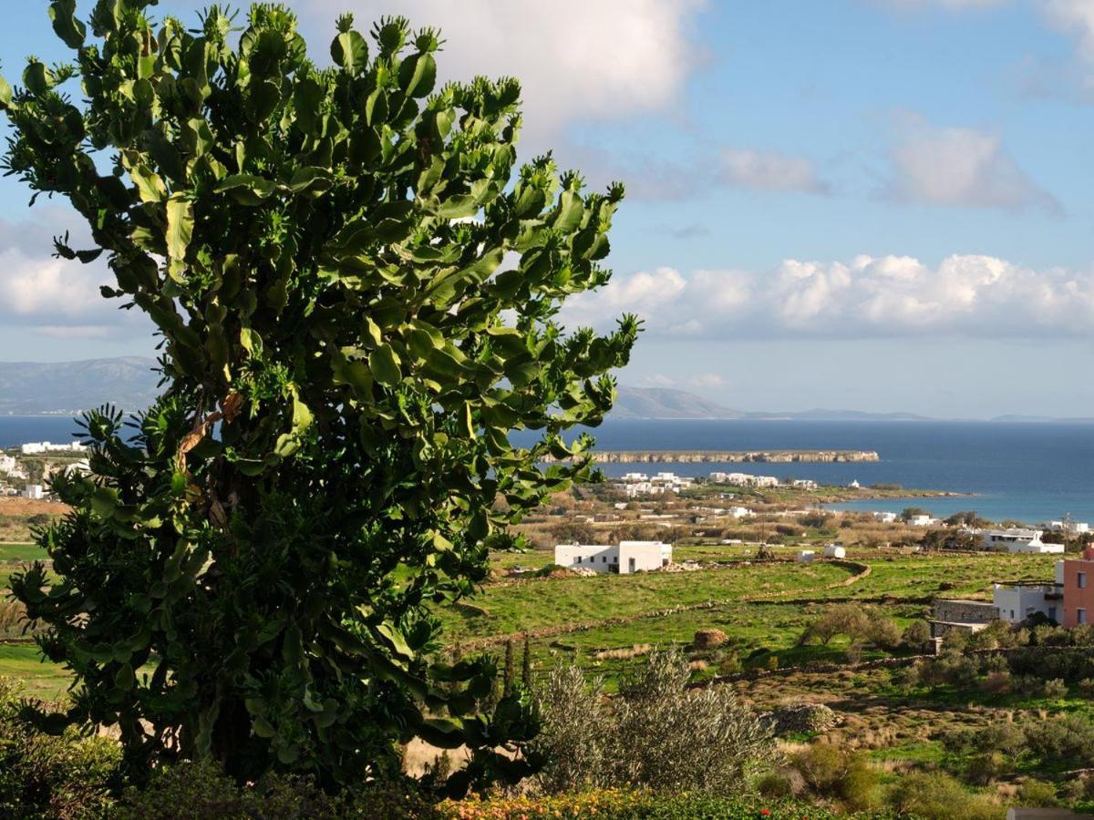 Casa Marvina Holiday home *