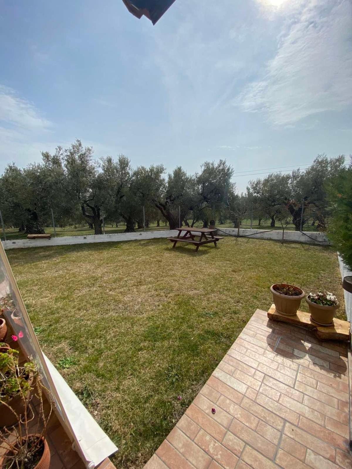 Golden House Apartment Alexandroupoli