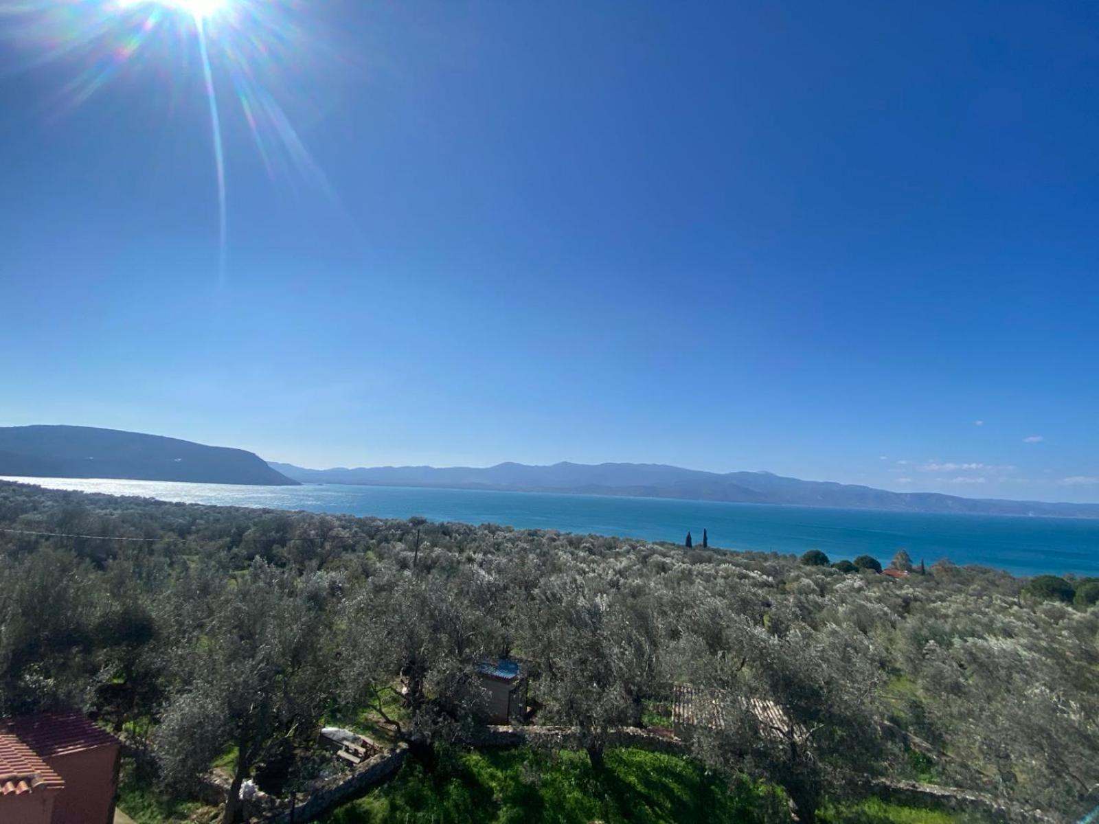 Presidential Sea View Apartment