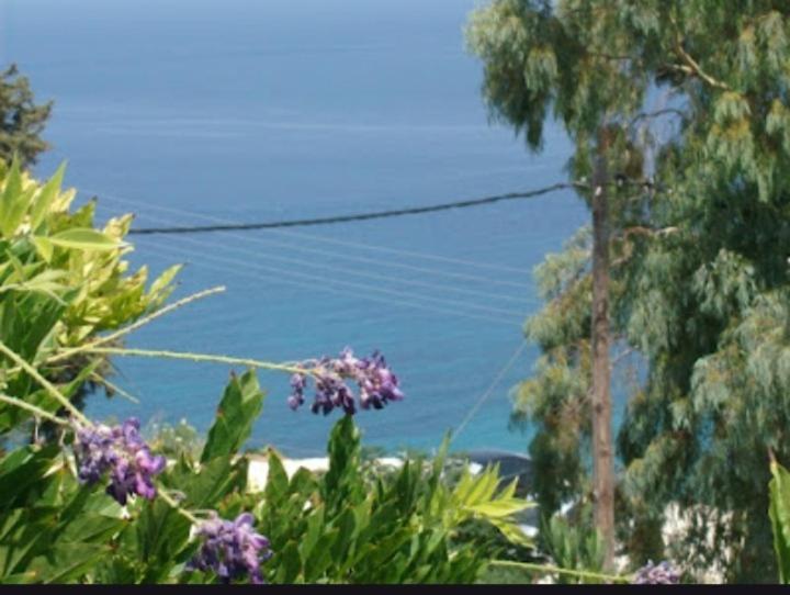 Rena Vasilikos Zante Apartment *