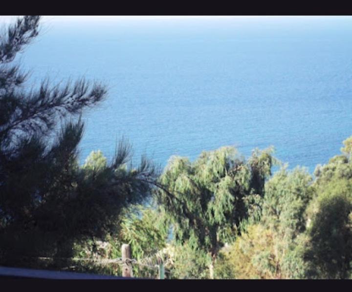 Rena Vasilikos Zante Apartment