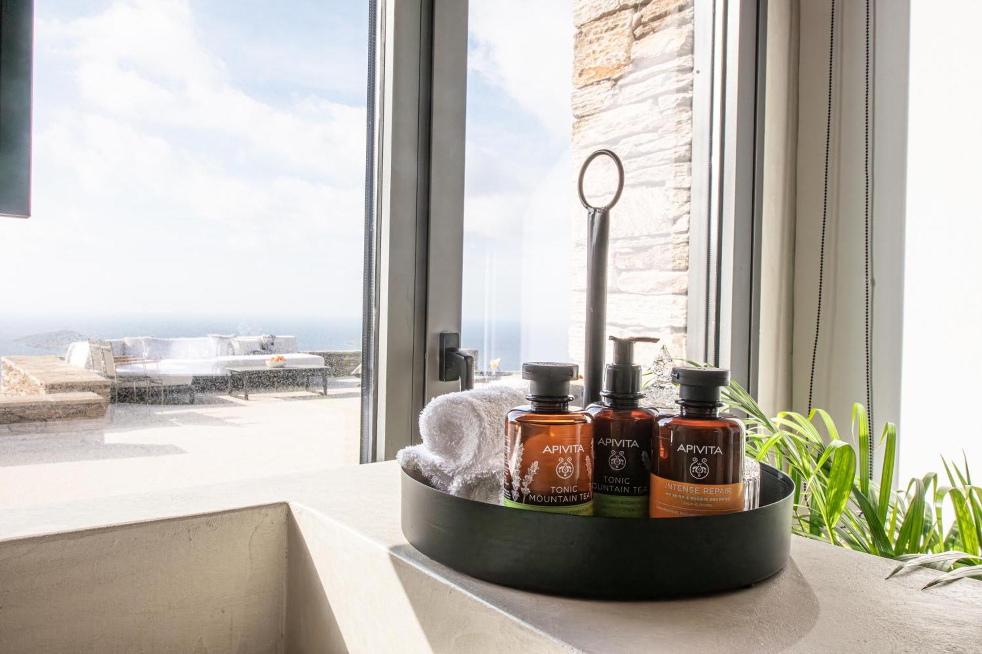 Villa Andros Thea Luxury *