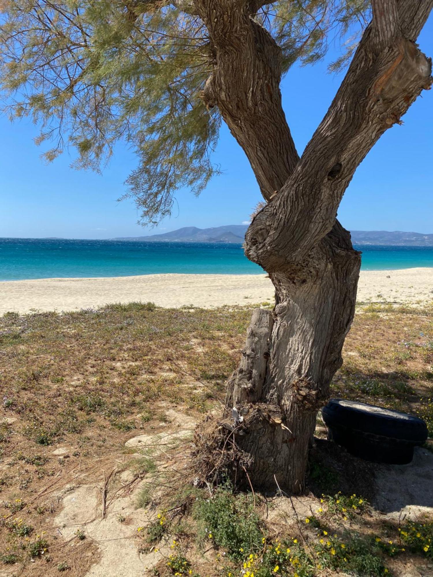 Holiday home Plaka House Naxos *