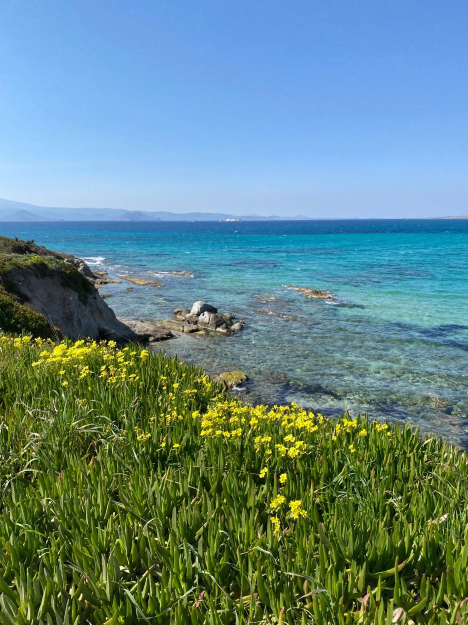 Plaka House Naxos Holiday home