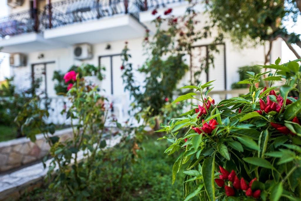 Apartment Avouris *