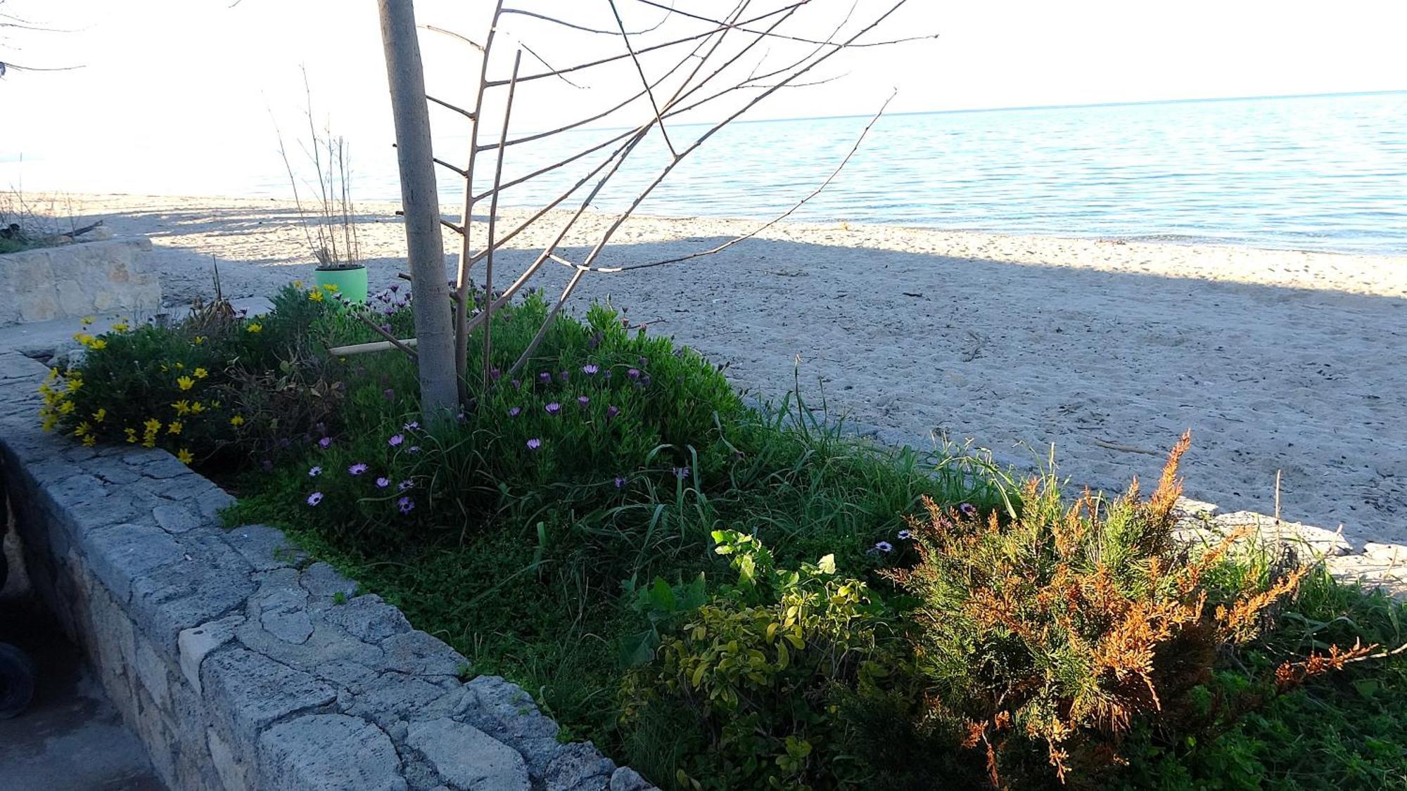 Mermaid Chalkidiki Apartment *