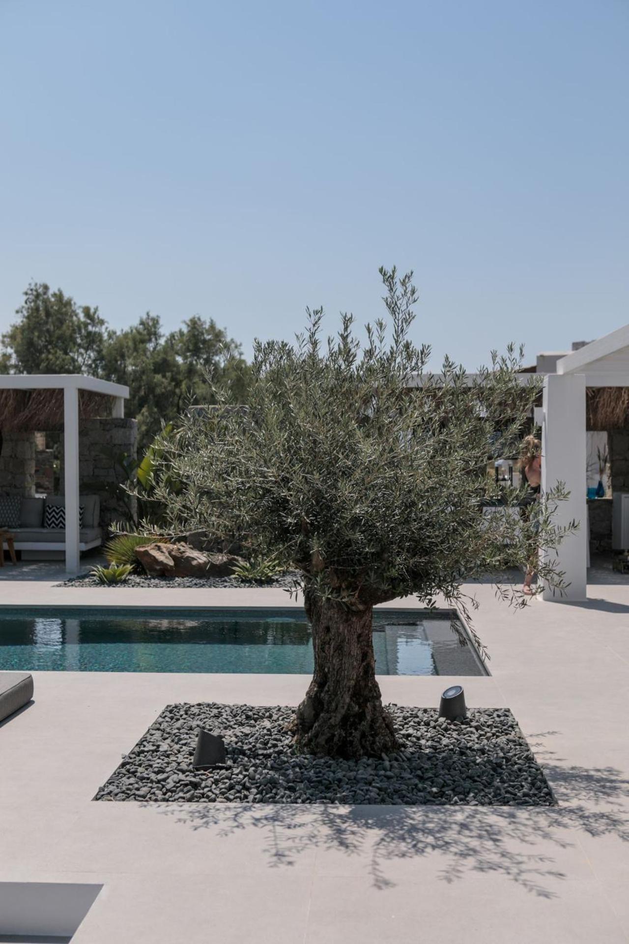 Kuzulu House, Your Private Paradise In Plaka, Naxos Plaka (Naxos)