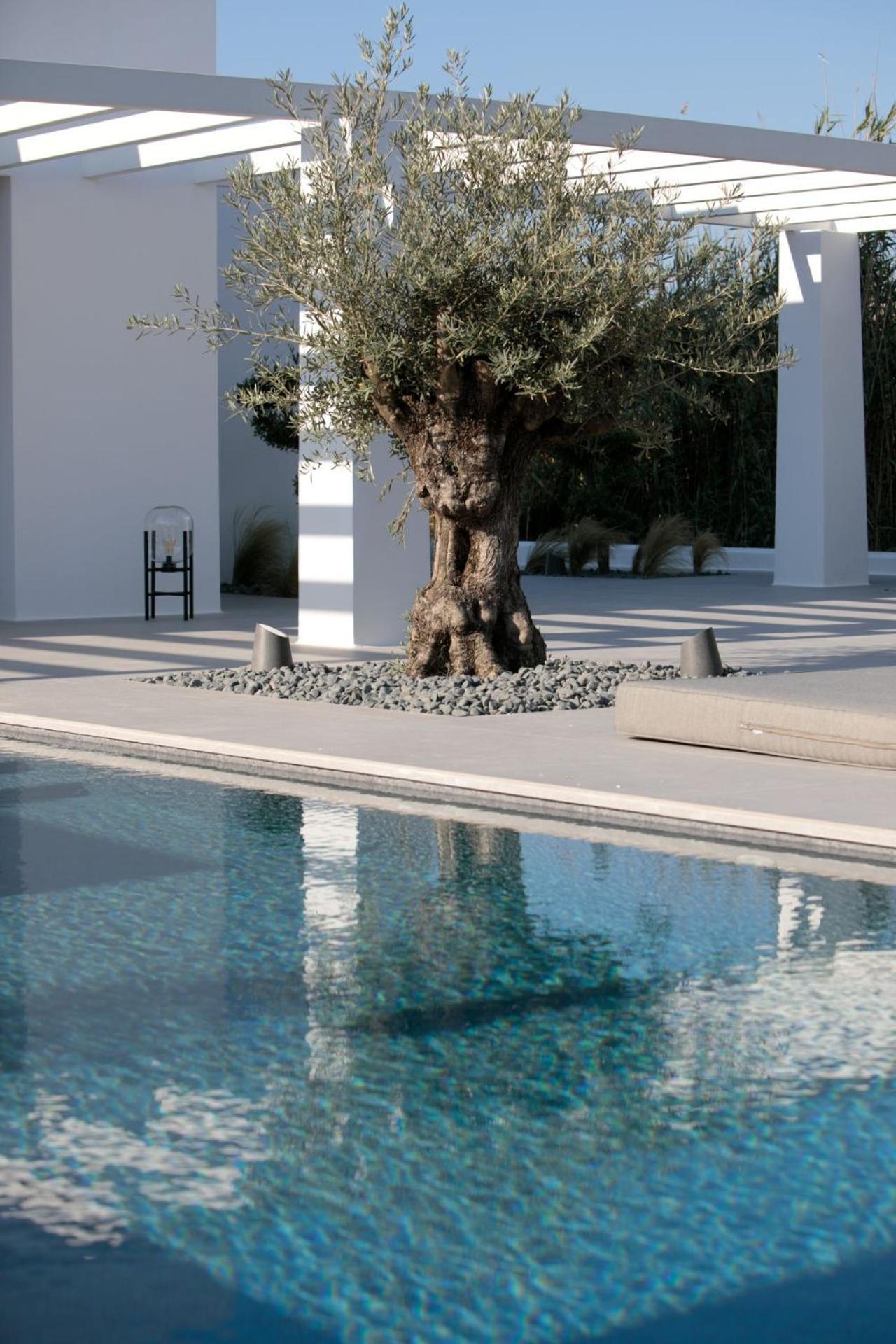 Kuzulu House, Your Private Paradise In Plaka, Naxos Holiday home