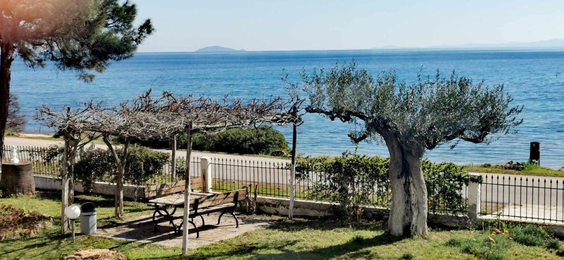 Metamorphosis - Halkidiki On The Apartment *