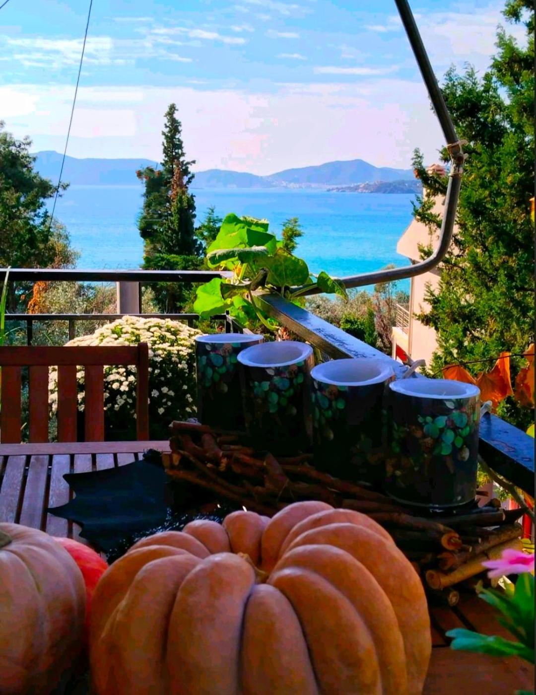 Apartment The Star La Boheme!!! *