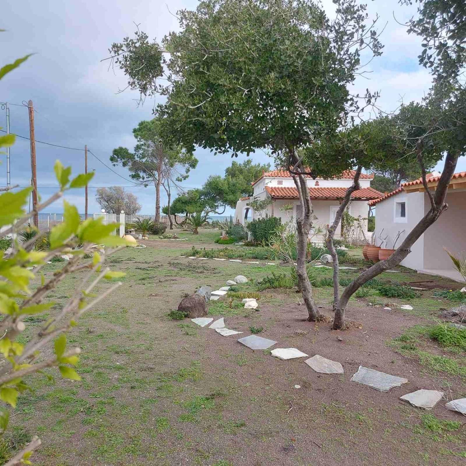 Vintage House Agia Anna (Evia)