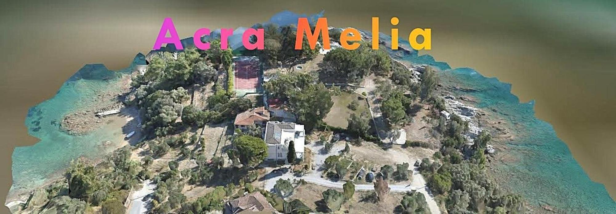 Acra Melia