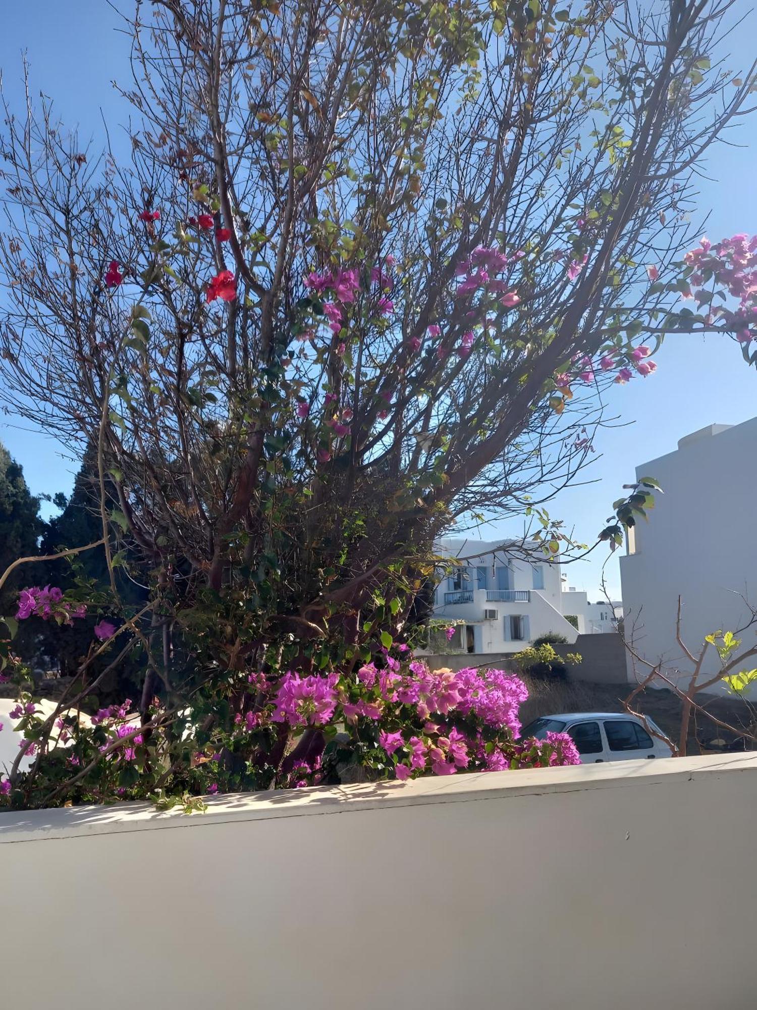 Charmante Holiday home