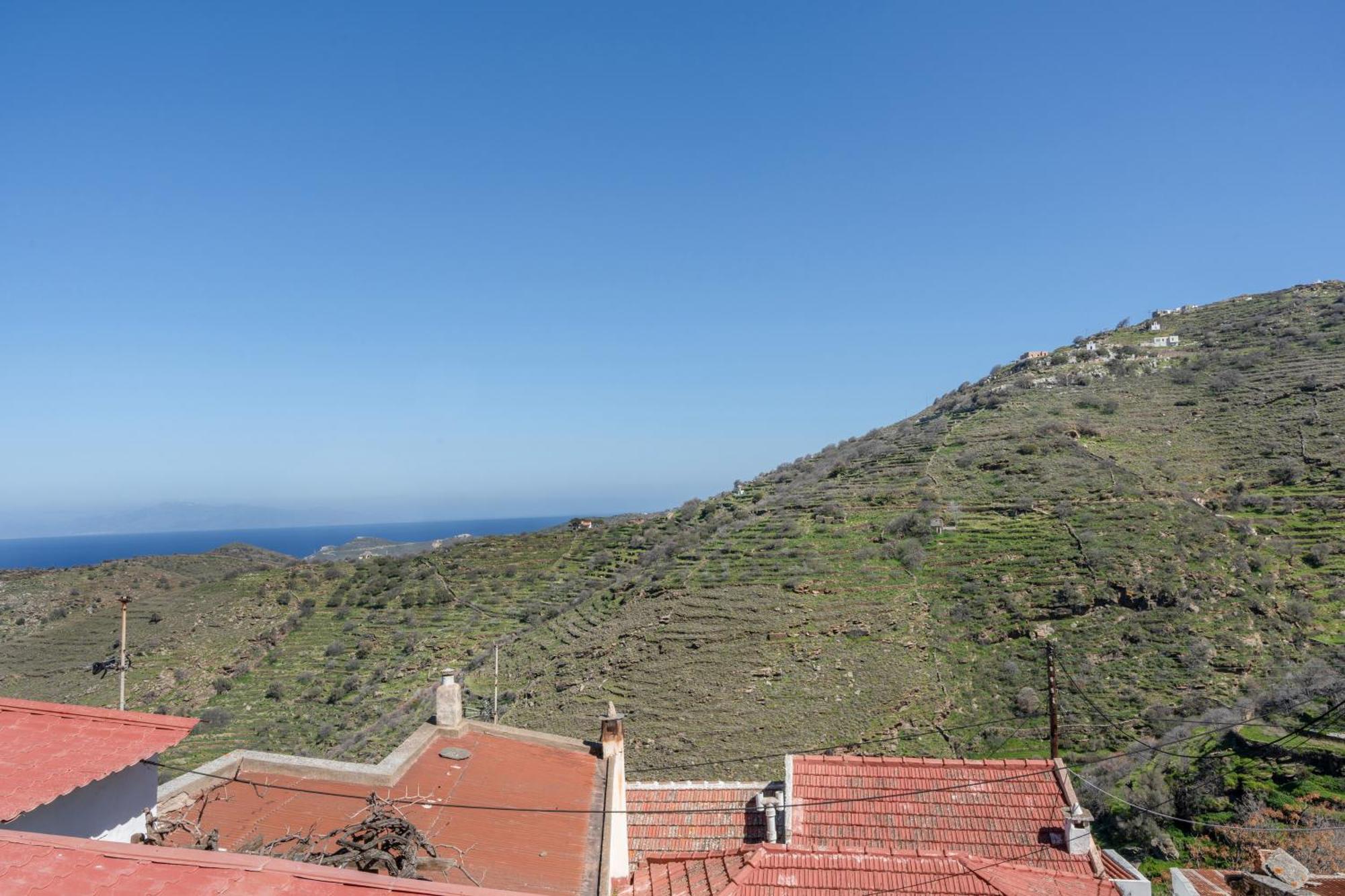 Anastasia The Traditional House Holiday home Ioulis