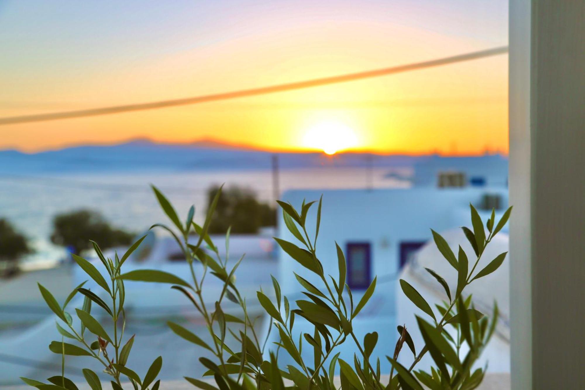 Sandora Agios Prokopios (Naxos)