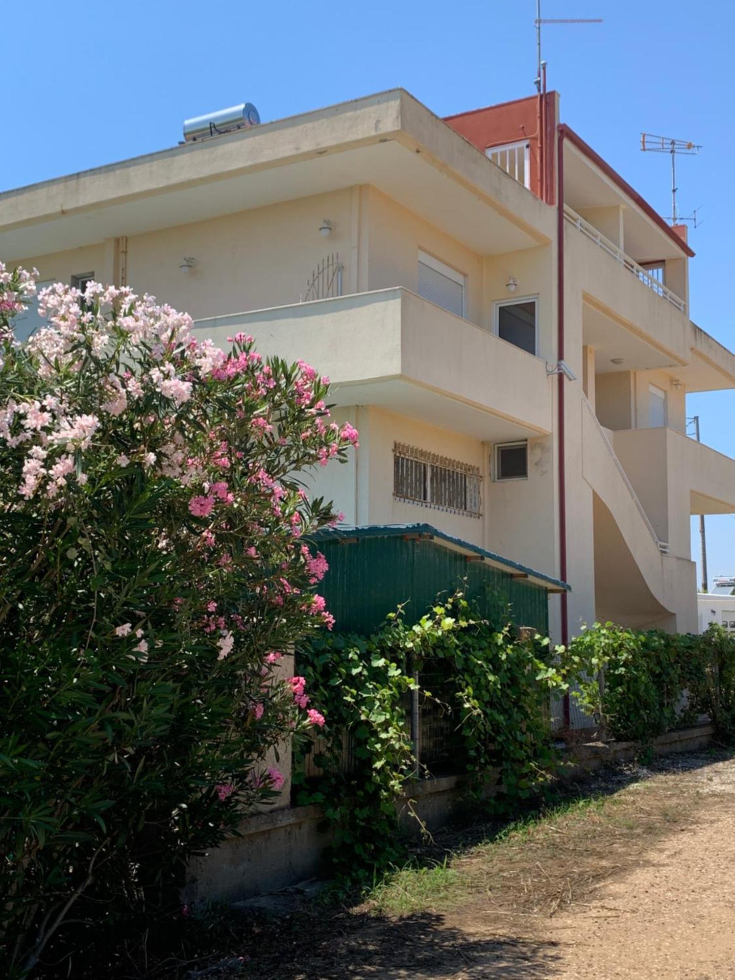 Apartment Avenia Potidea Nea Poteidaia