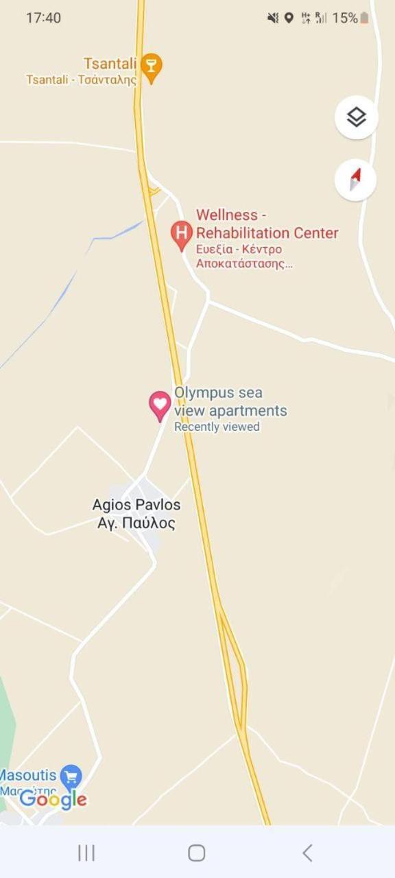 Olympus Sea View Apartment. Holiday home