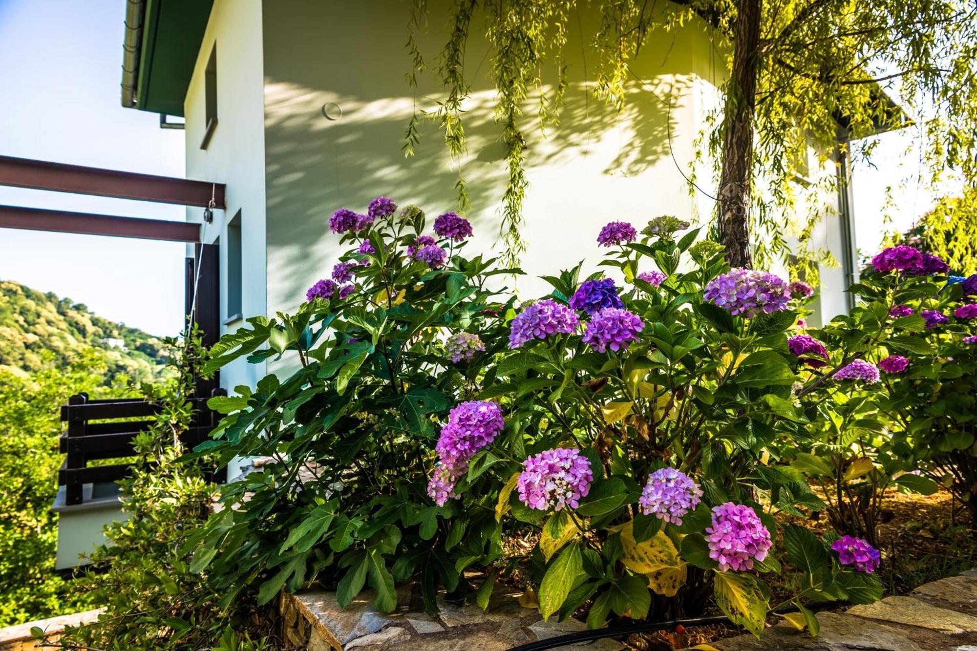 Apartment Nymfes Tsagarada