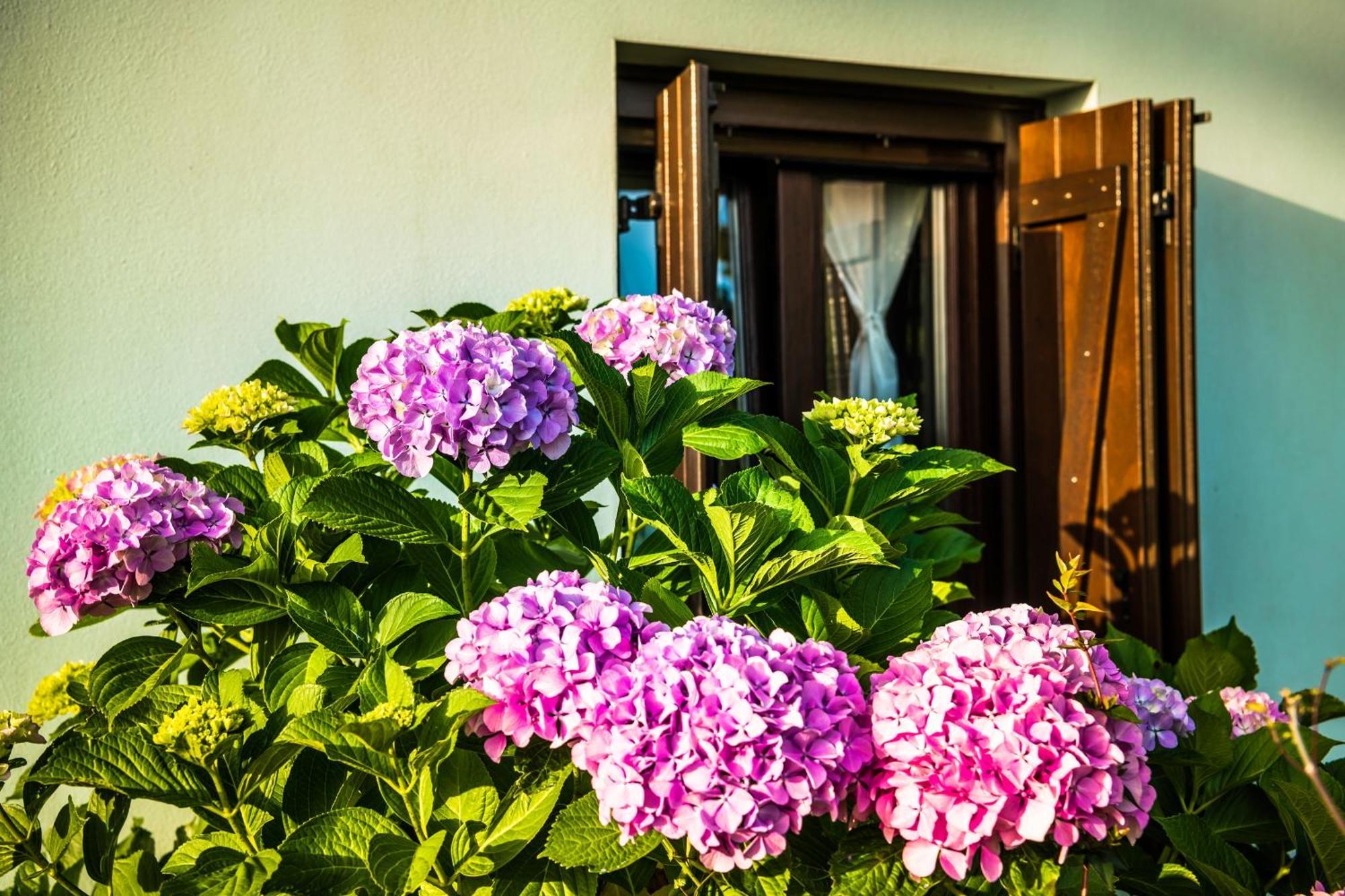 Nymfes Apartment Tsagarada