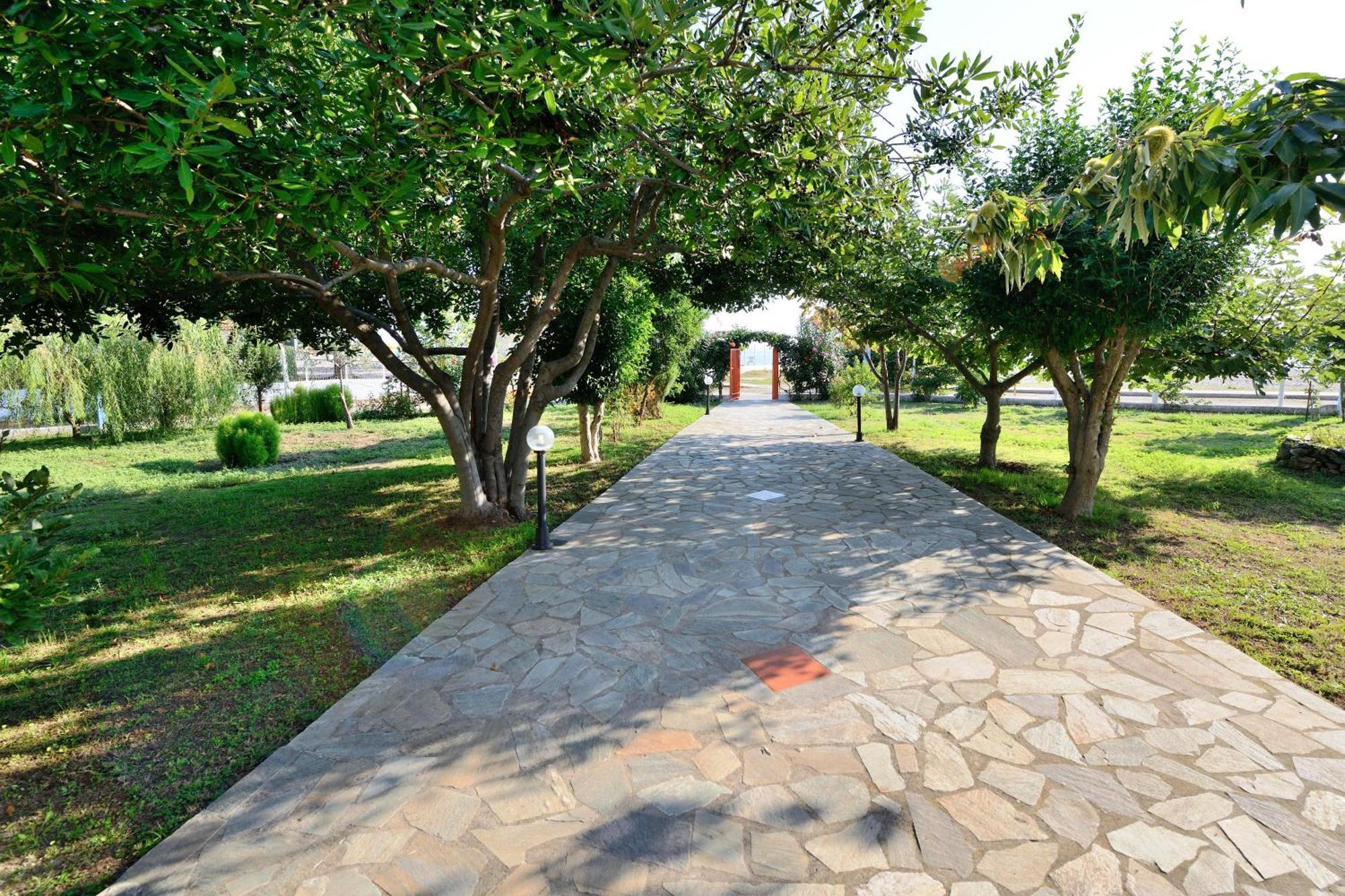 Apartment Ziogas Paralia Skotinis