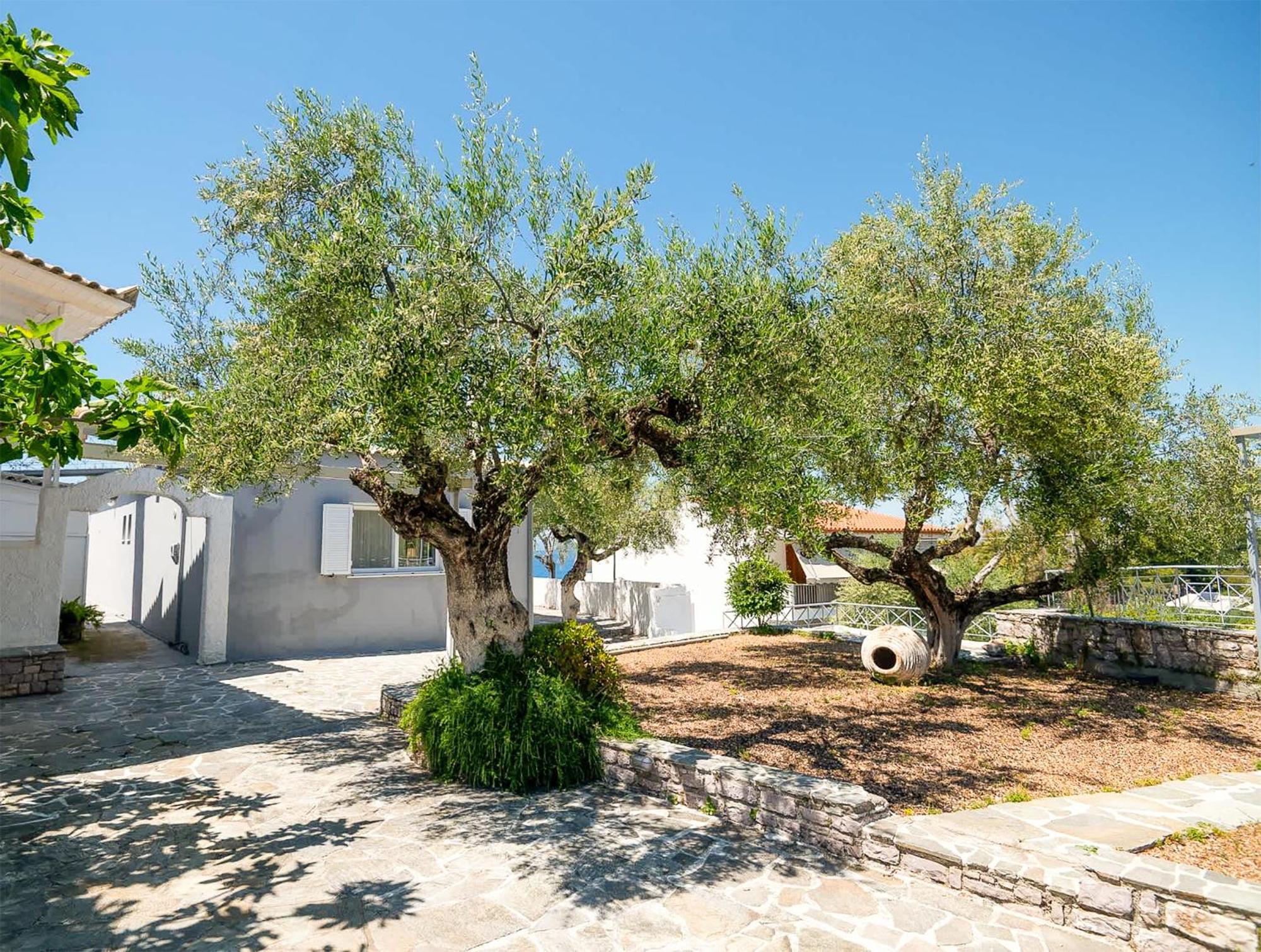 Pouletis Family - Akroyali Seaview Getaways Holiday home *