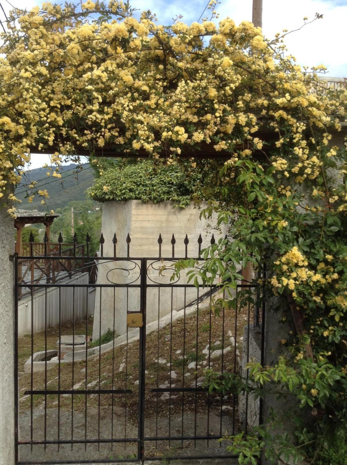 #perkyroseshome, Sea & Mountain Combo, Milies, S Pelion, Magnisia, Volos, Greece Holiday home Mileai