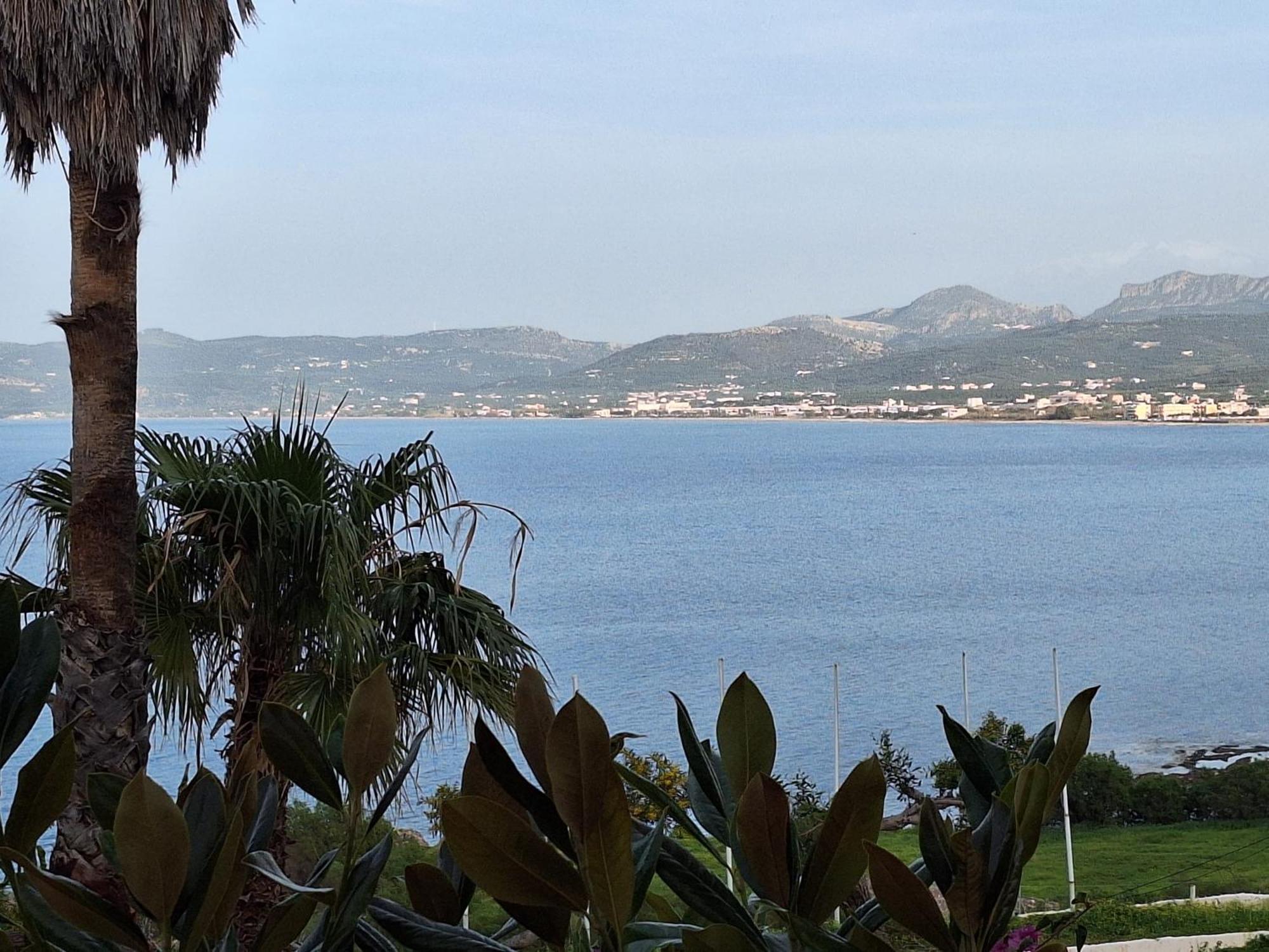 Delfini Hotel *