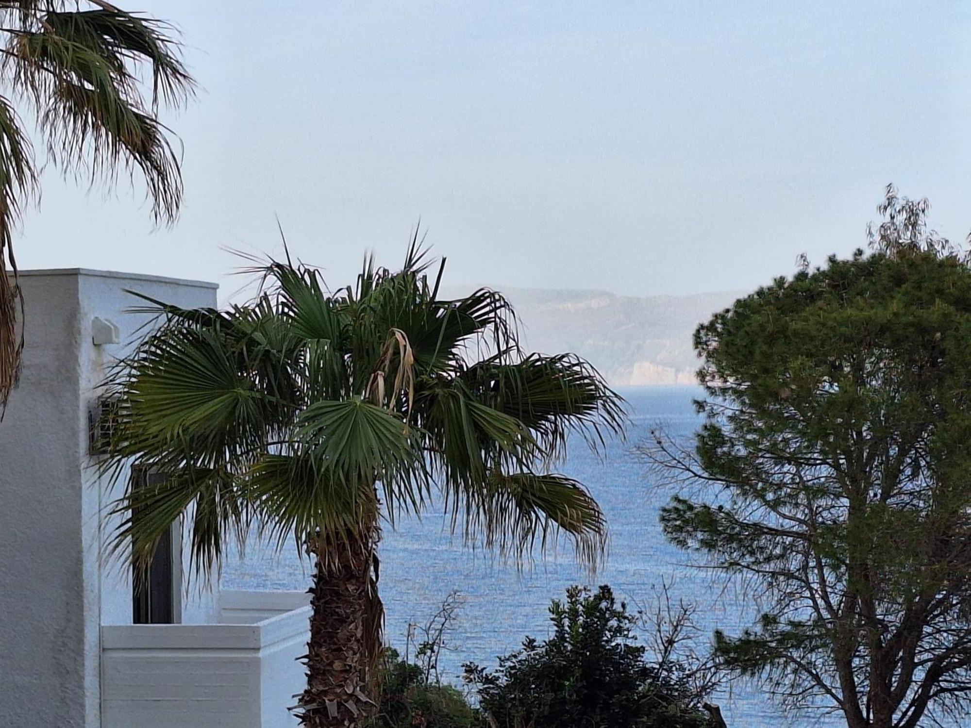 Hotel Delfini *