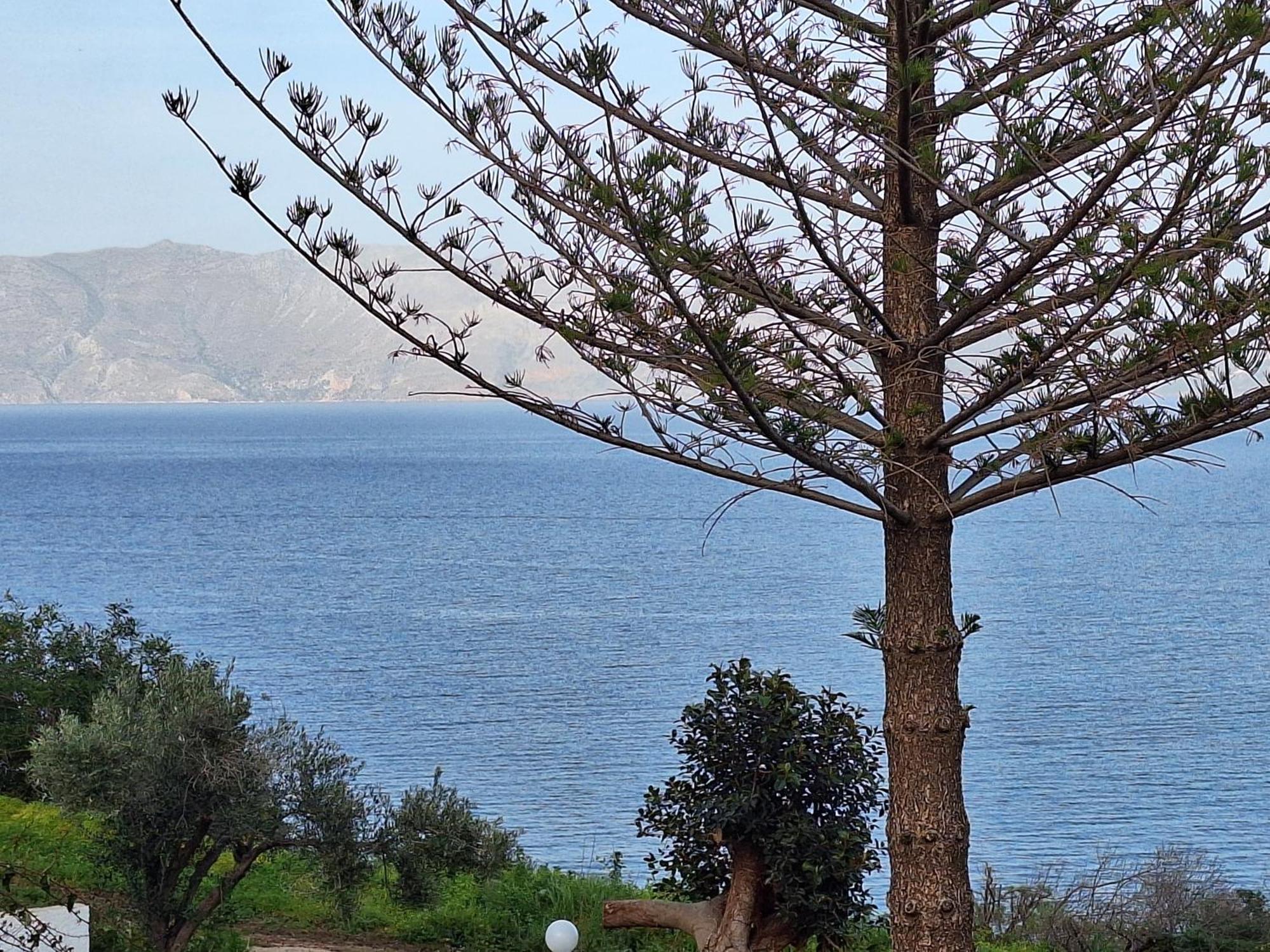 Hotel Delfini Kissamos