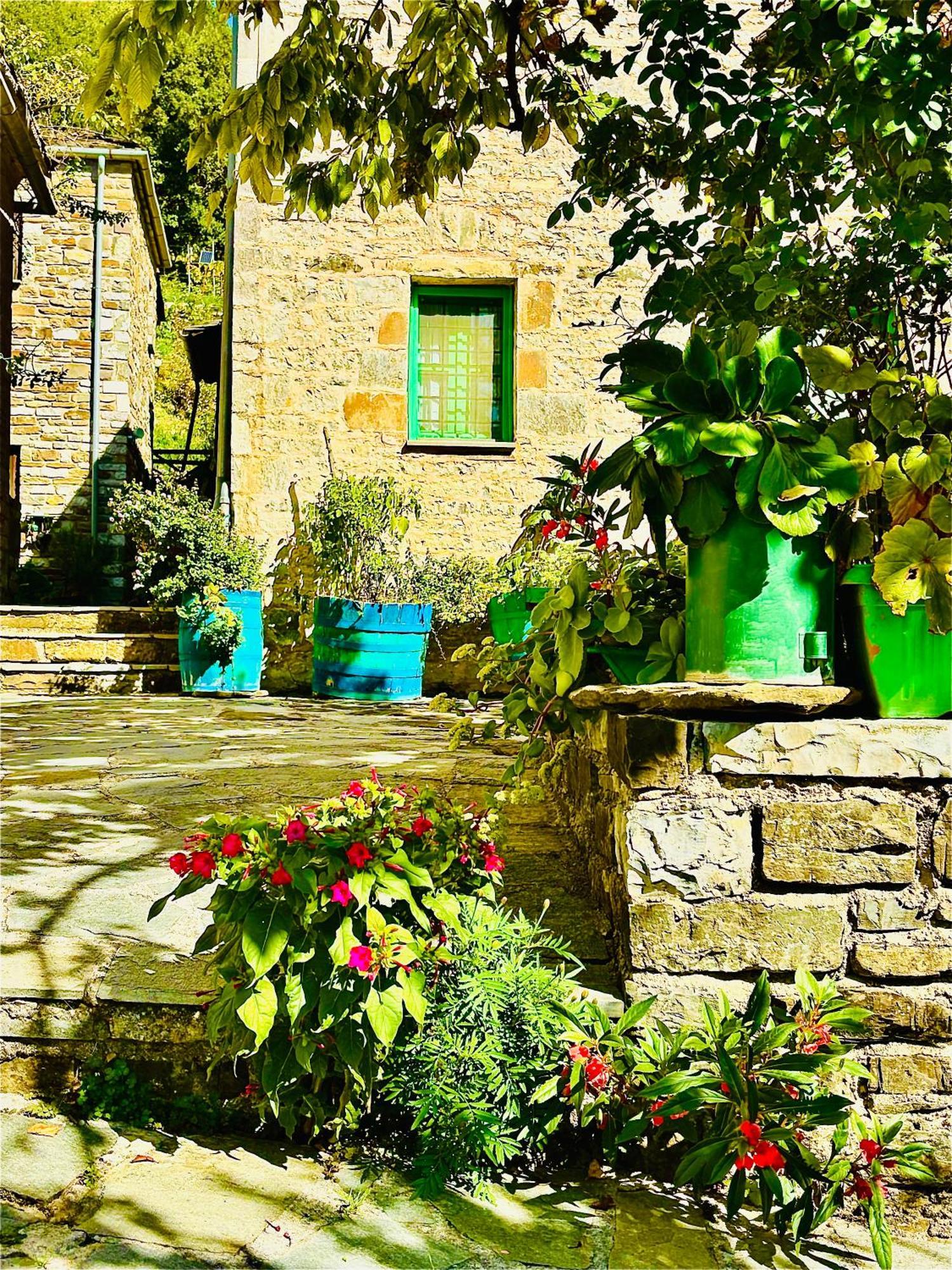 Guest house Morfeas 3*
