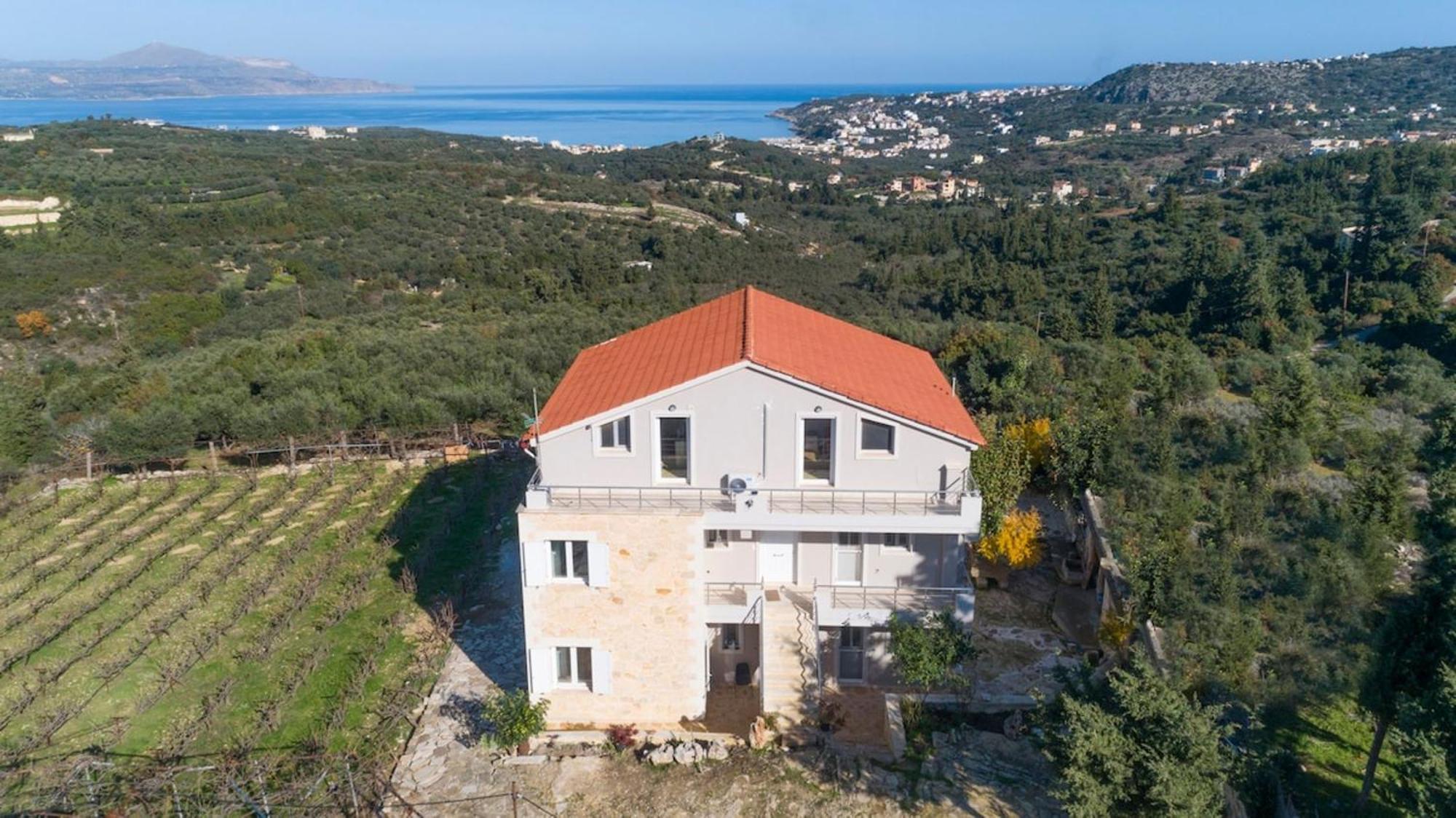 Konstantinos Hilltop Vineyard Escape Holiday home