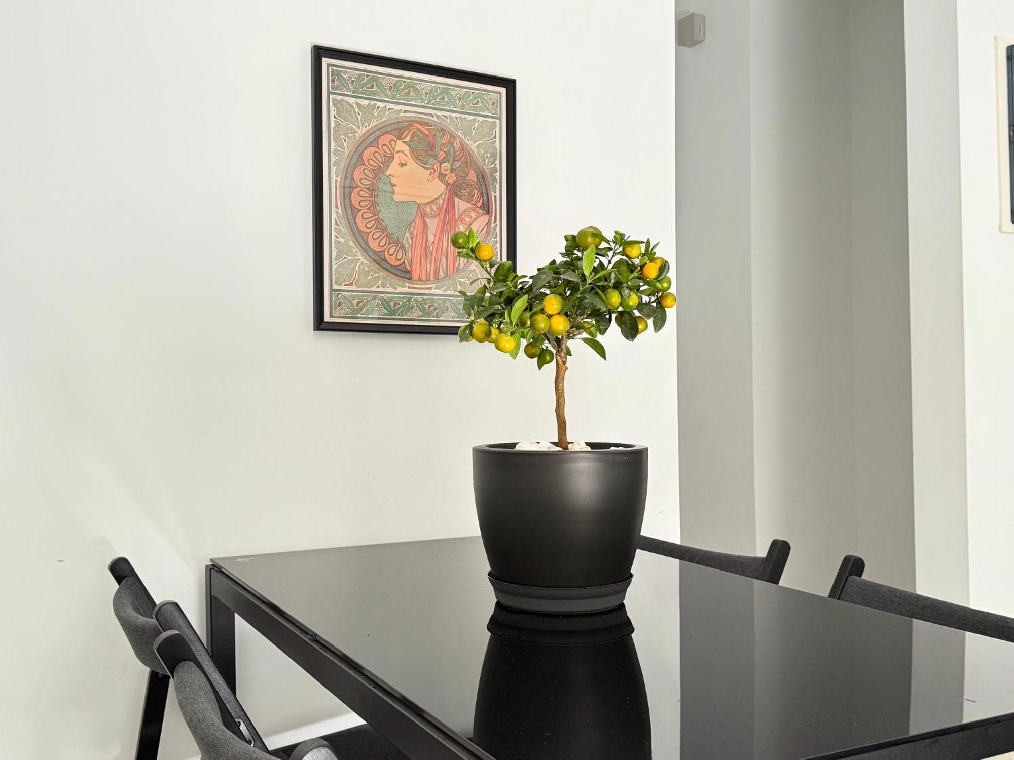 Apartment P&p Boutique *