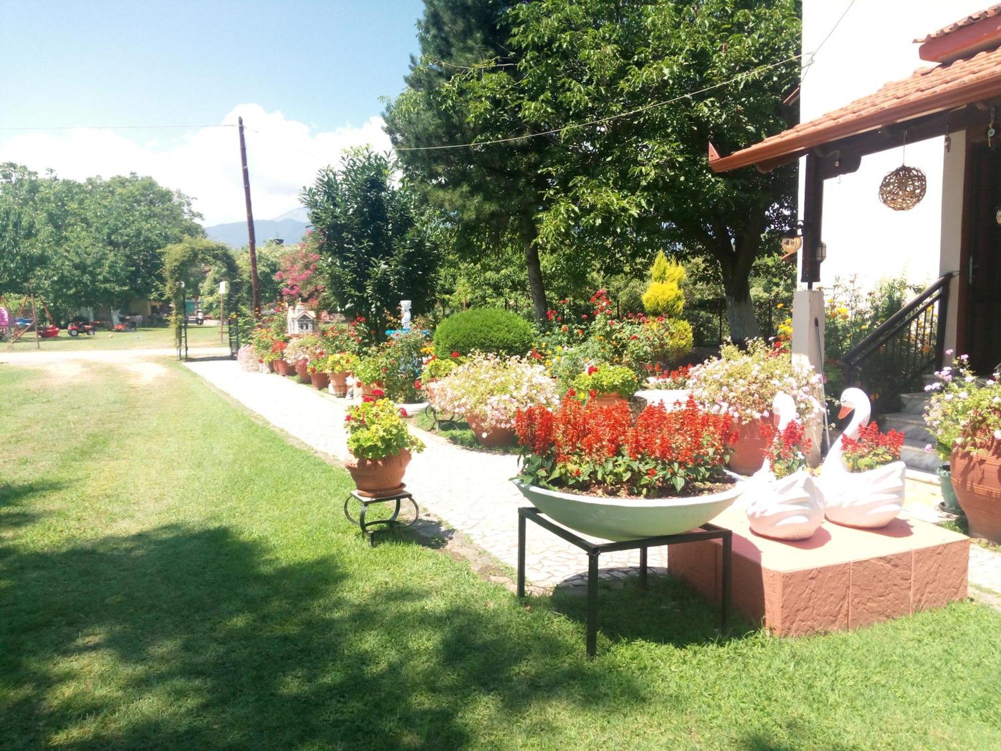 Hostel Roula Manou Paralia Skotinis
