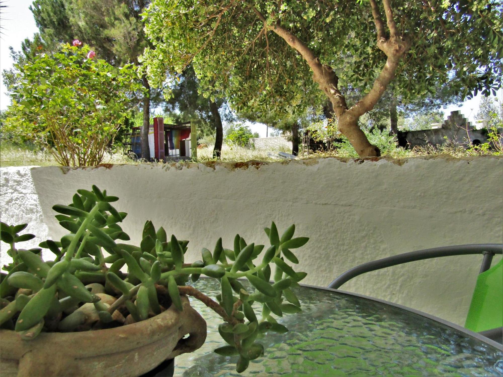 Asklipion Valley * Kos Town