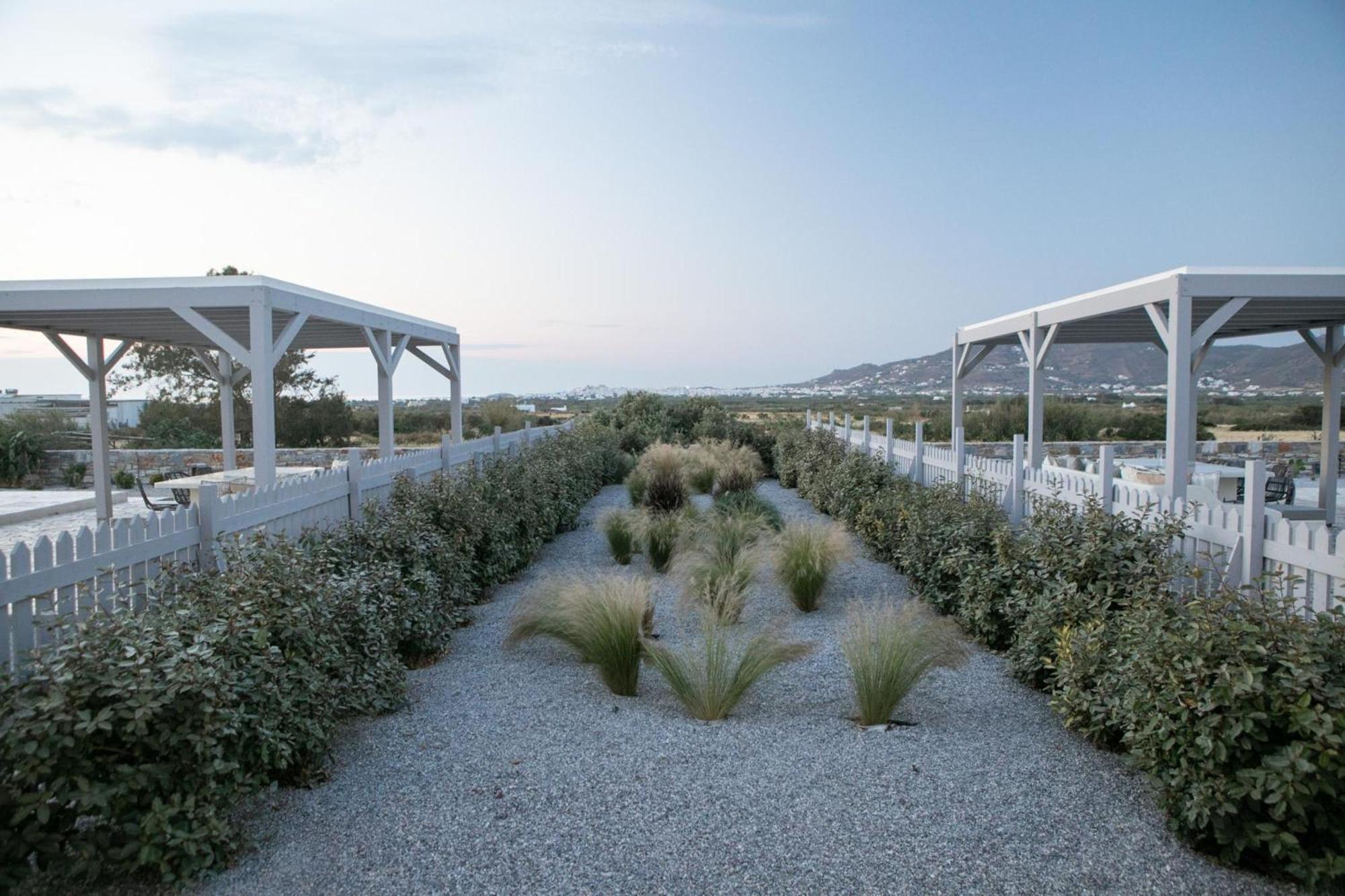 Villa Olives Rocks Naxian