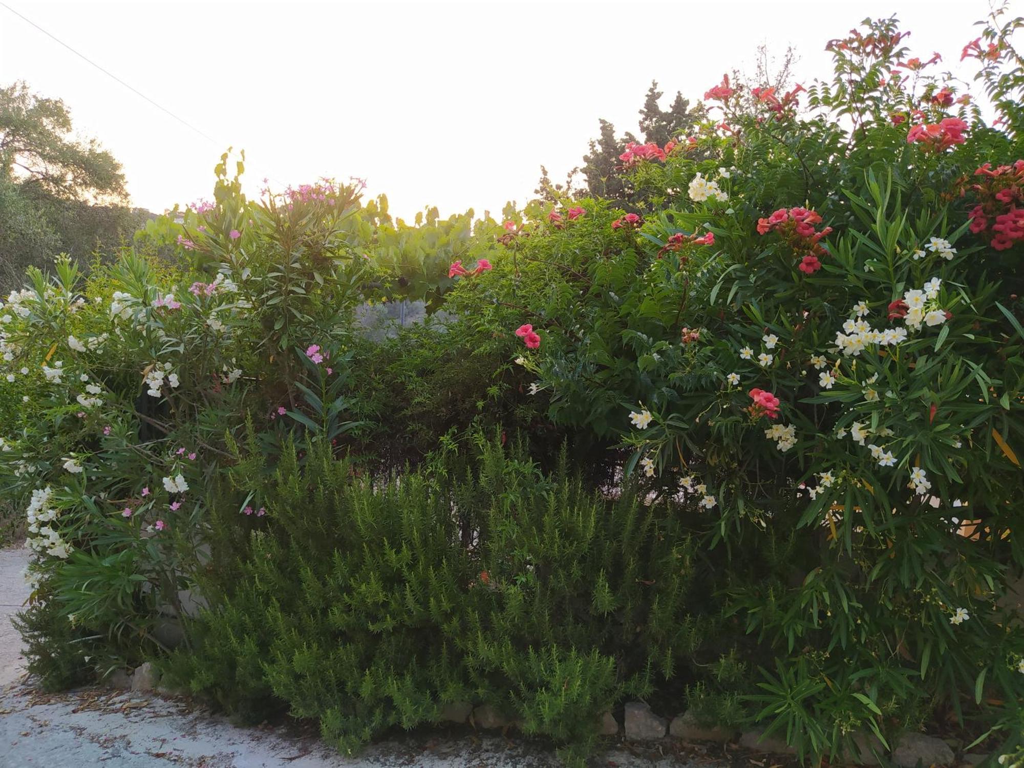 Captain's House Longos (Paxos)