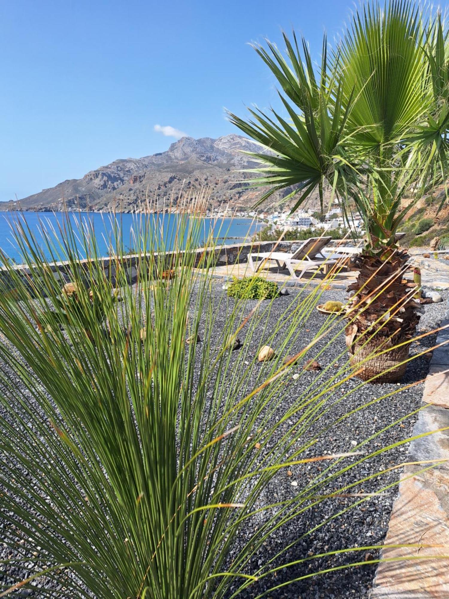 Evgoro - Infinite View Villa Tsoutsouros (Crete)