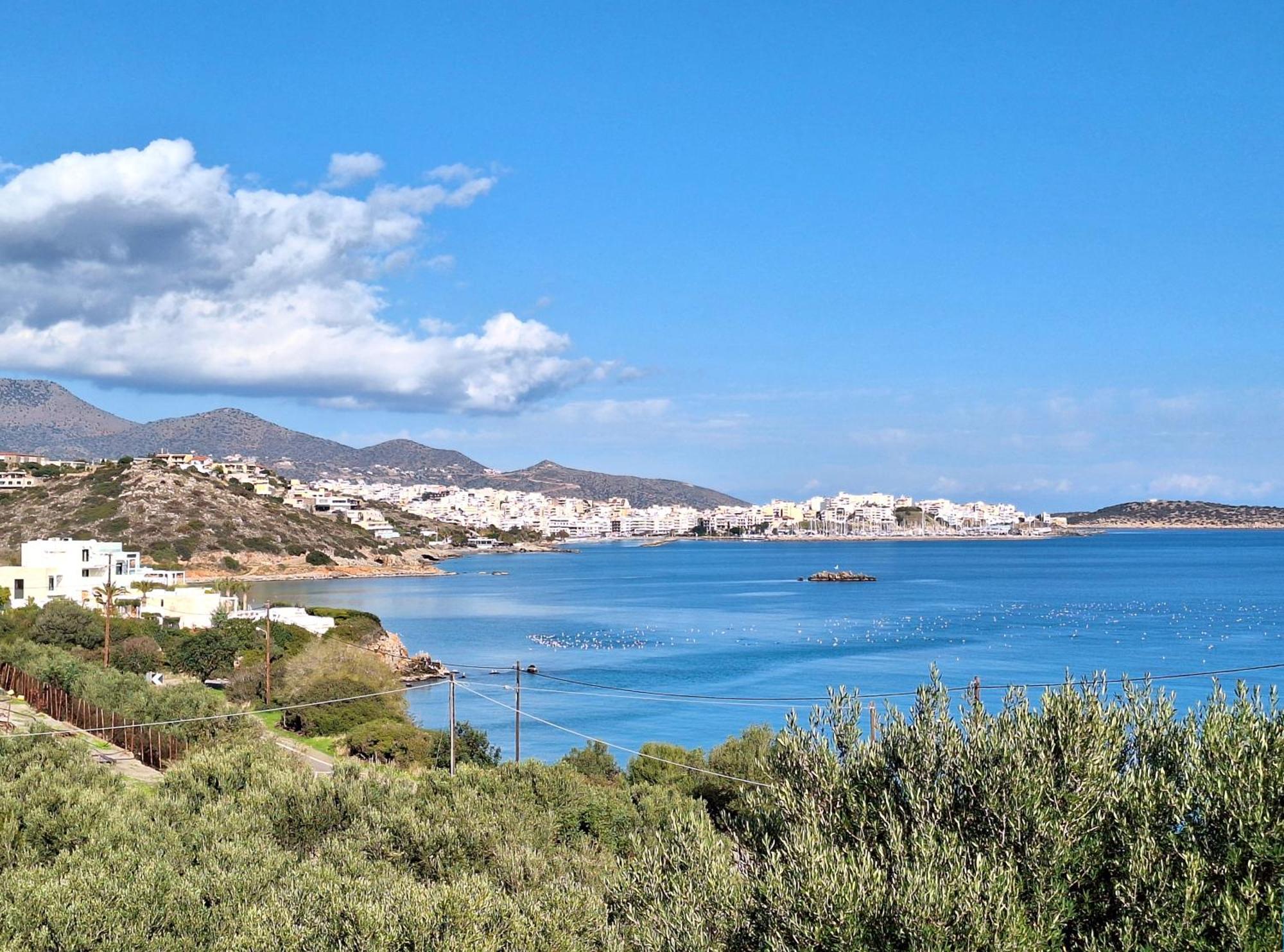 Allas, Guest Art Agios Nikolaos (Crete)