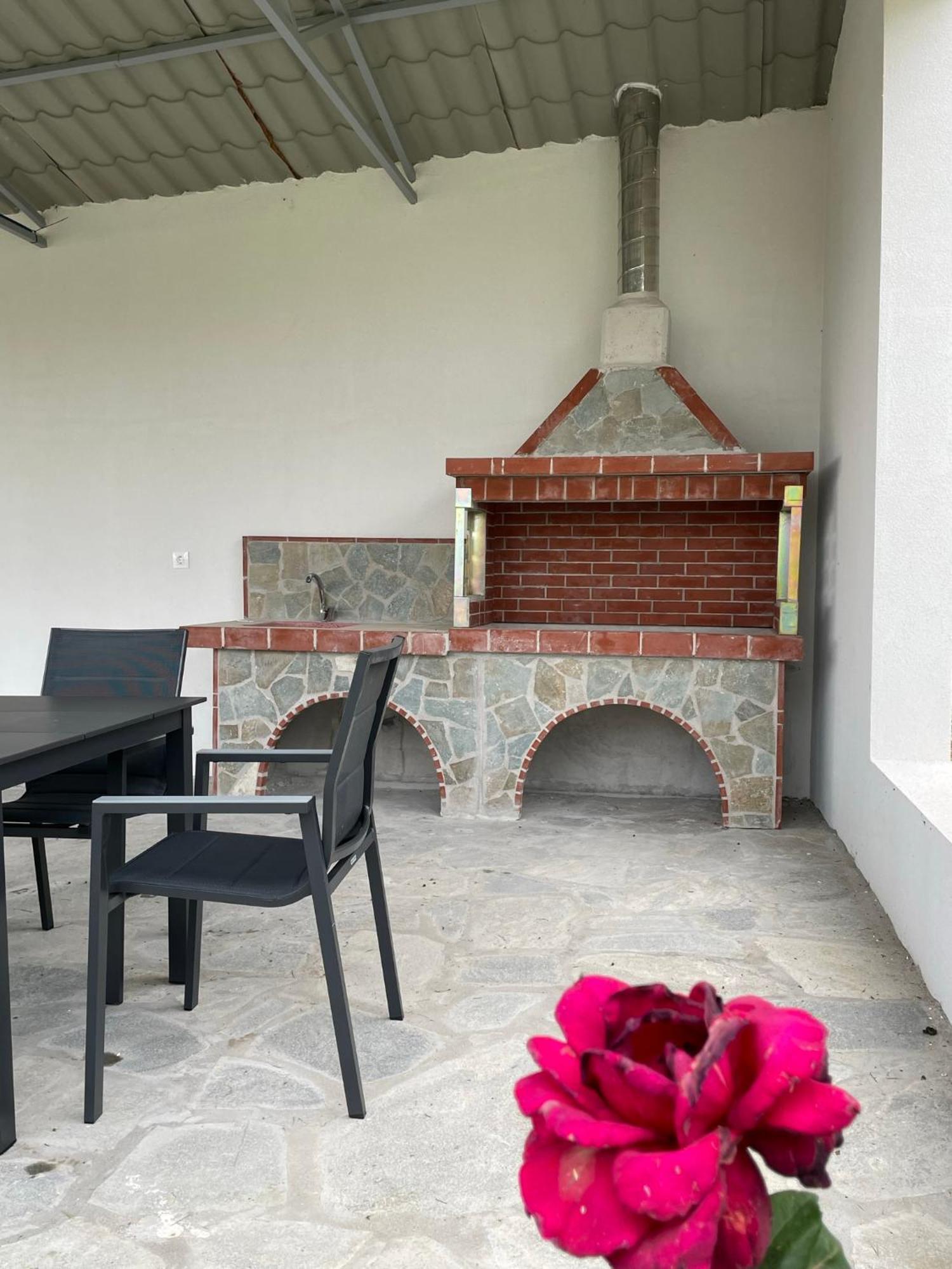 Carefree Dreams : In Chalkidiki