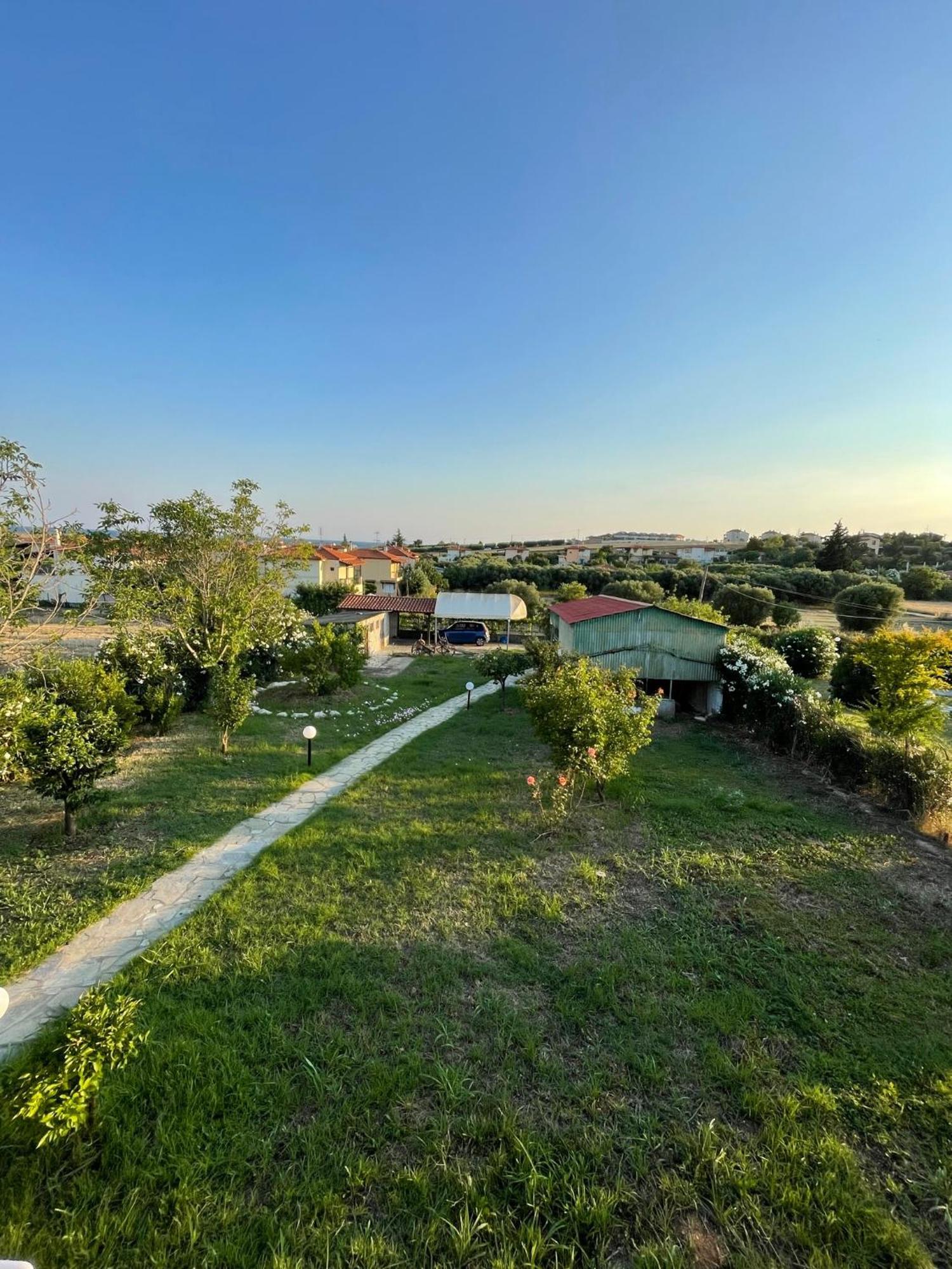 Carefree Dreams : In Chalkidiki Holiday home *