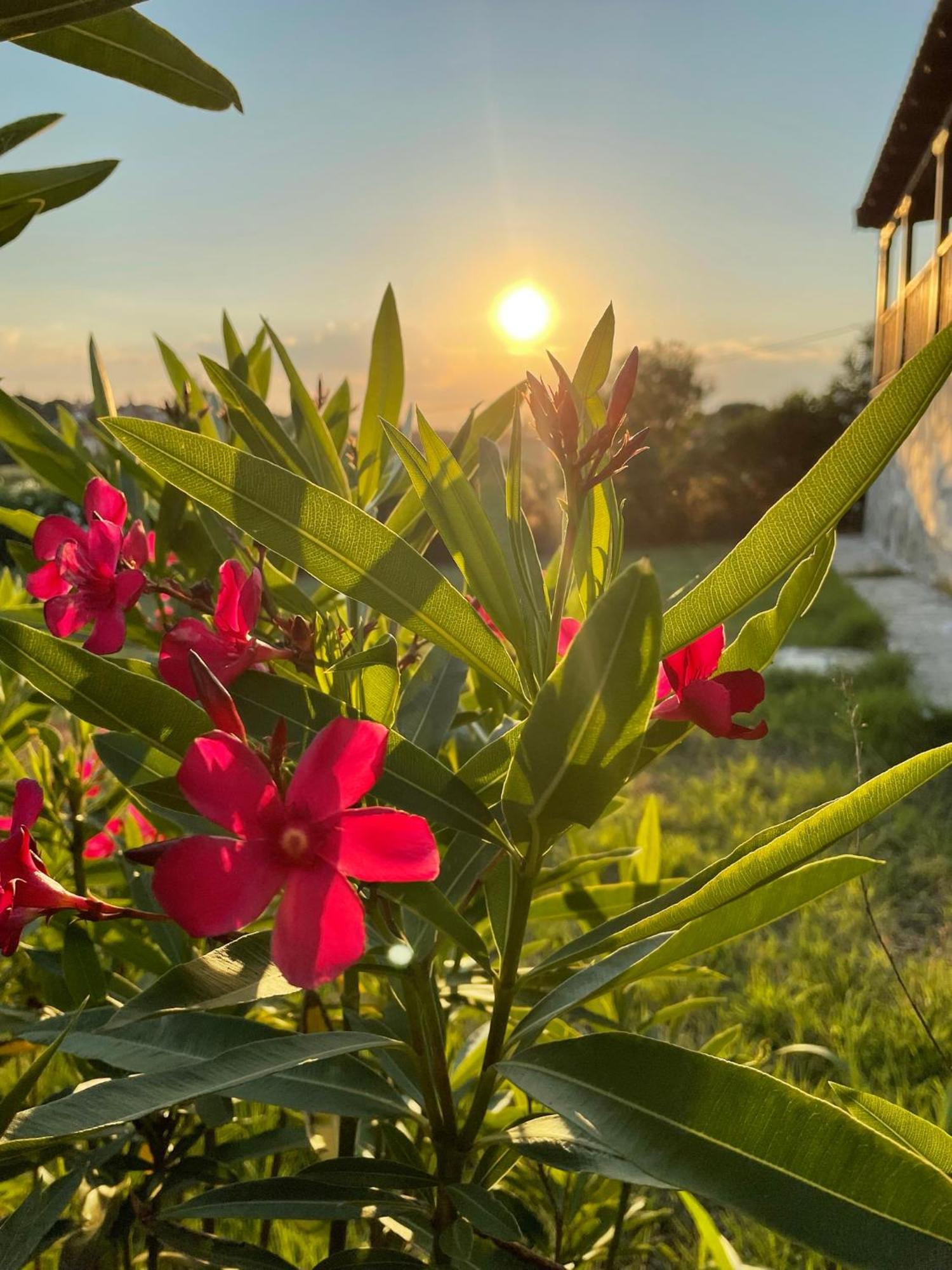 Carefree Dreams : In Chalkidiki