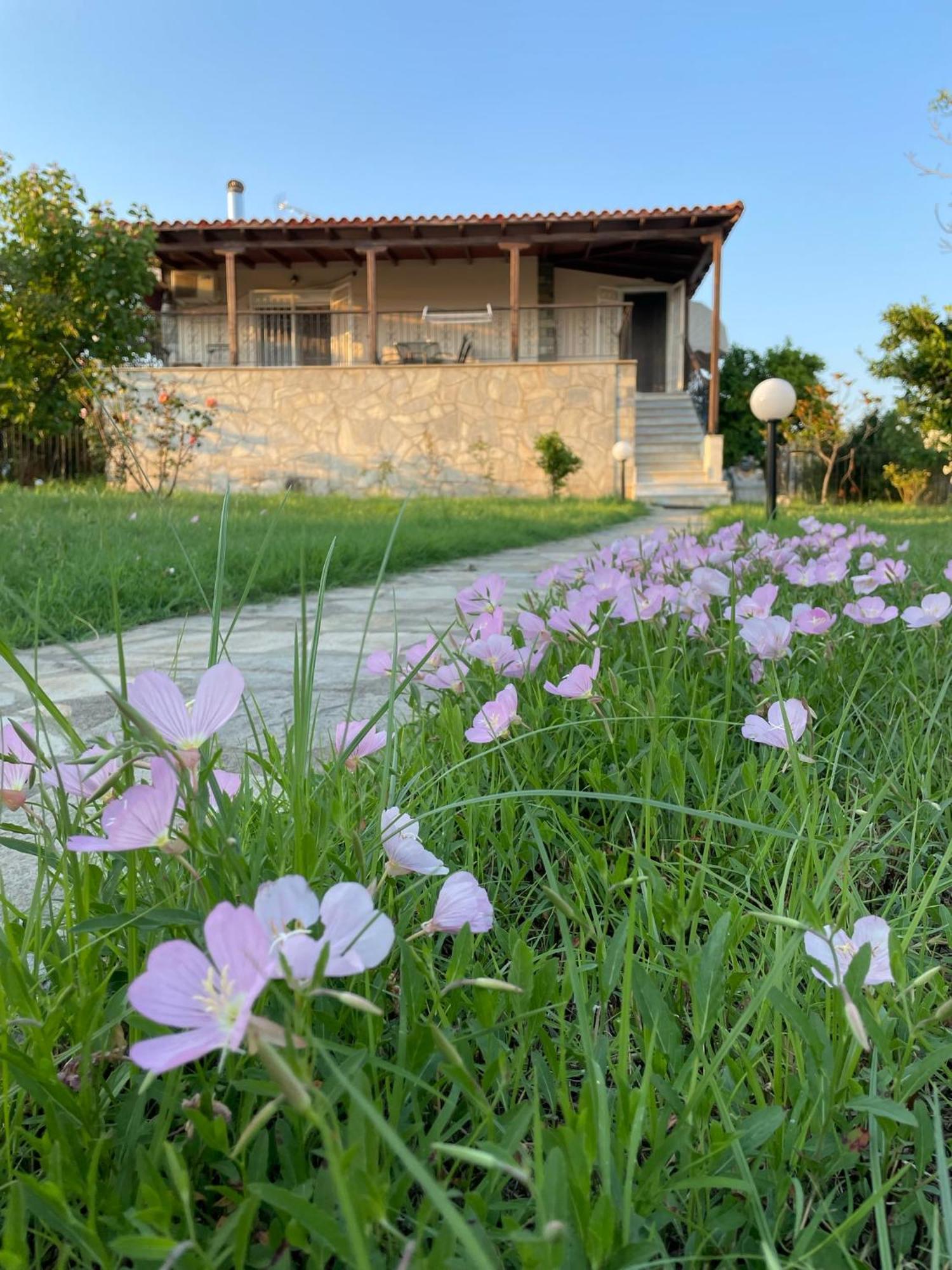 Holiday home Carefree Dreams : In Chalkidiki