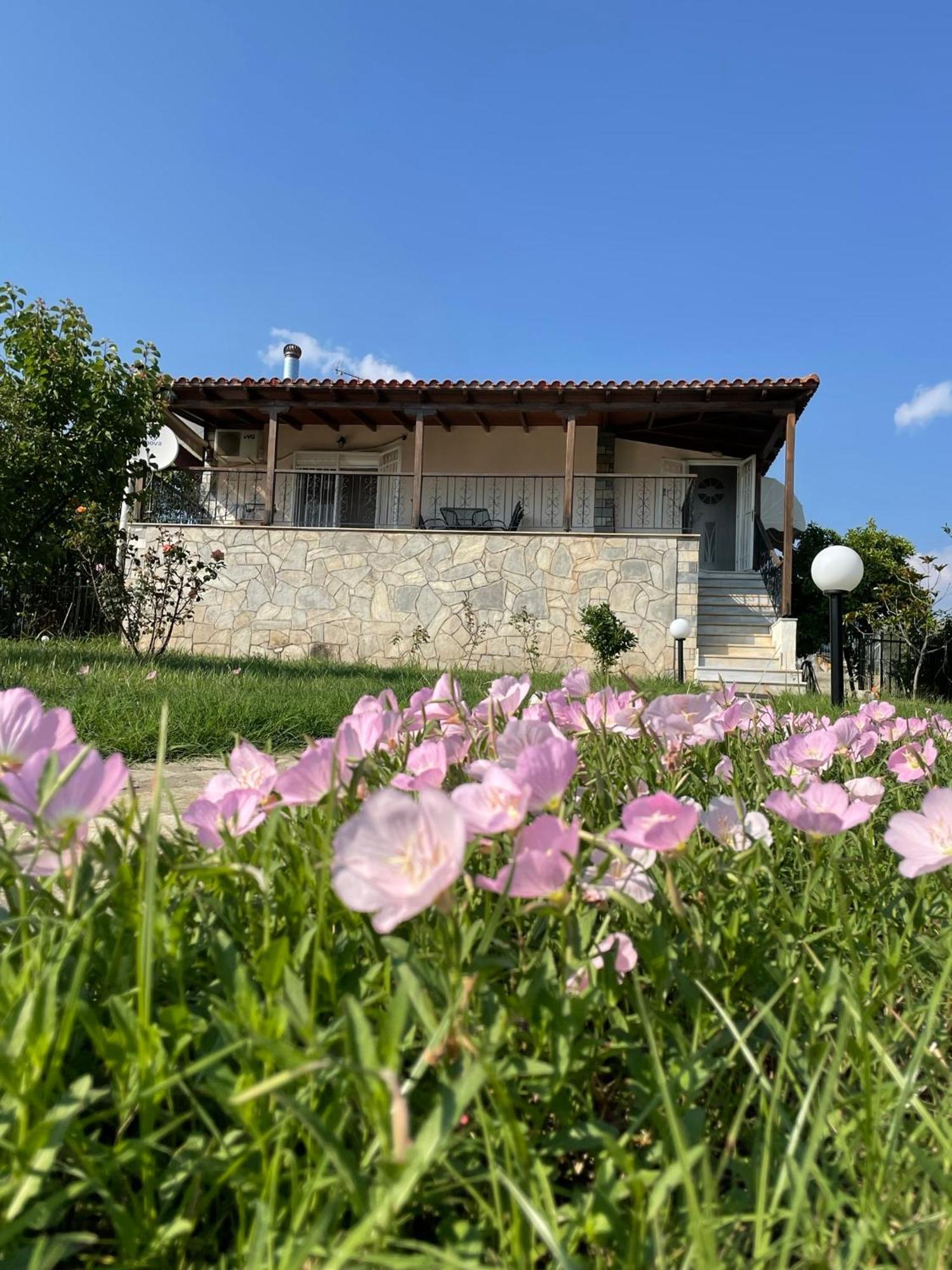 Carefree Dreams : In Chalkidiki Holiday home *