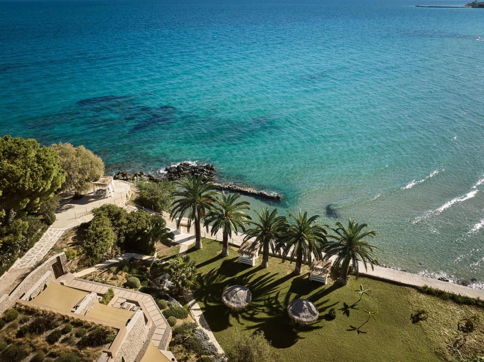 Calypso Amoudi